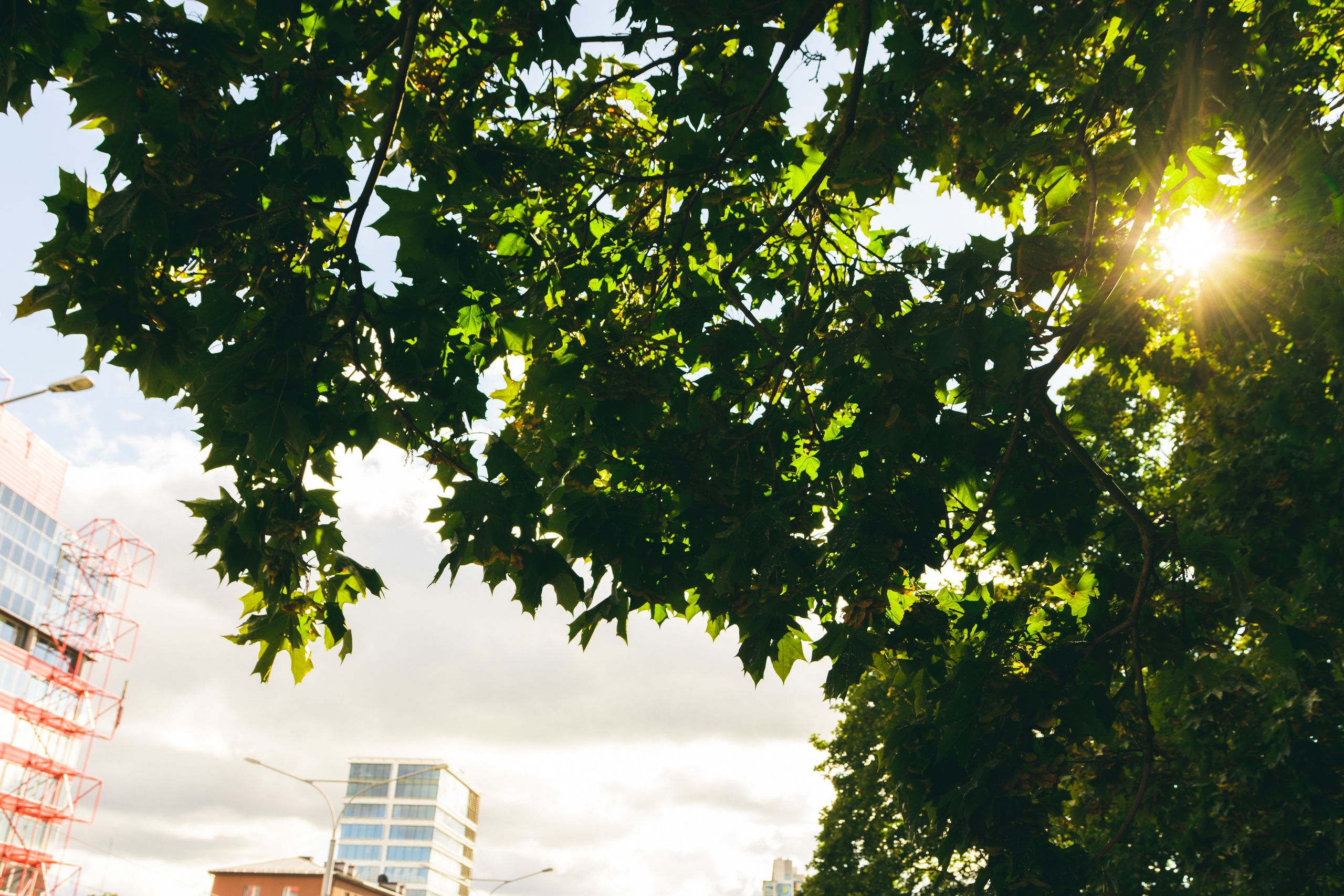 Sügise killud. Nebula 25 — Fotod teie hingele