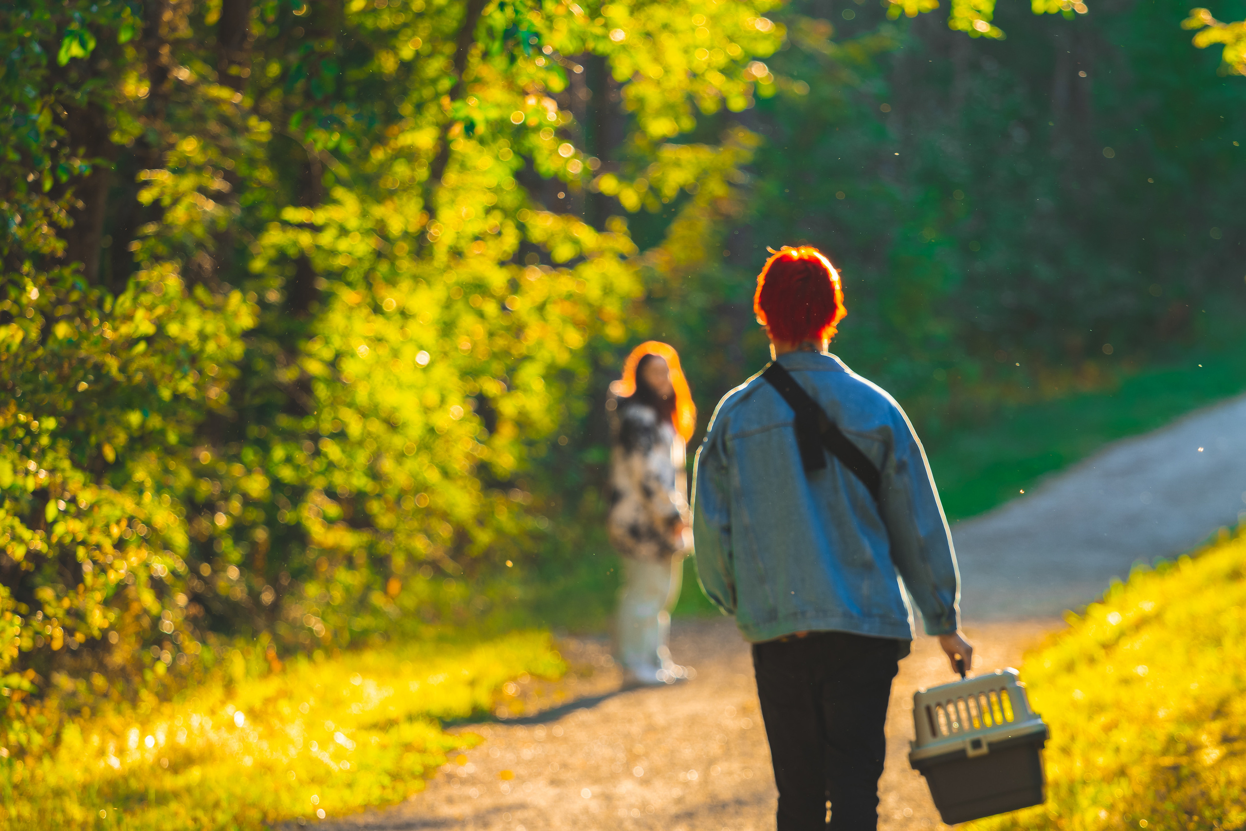 Suitsudeemon ja tema kass (Saša). Nebula 25 — Fotod teie hingele