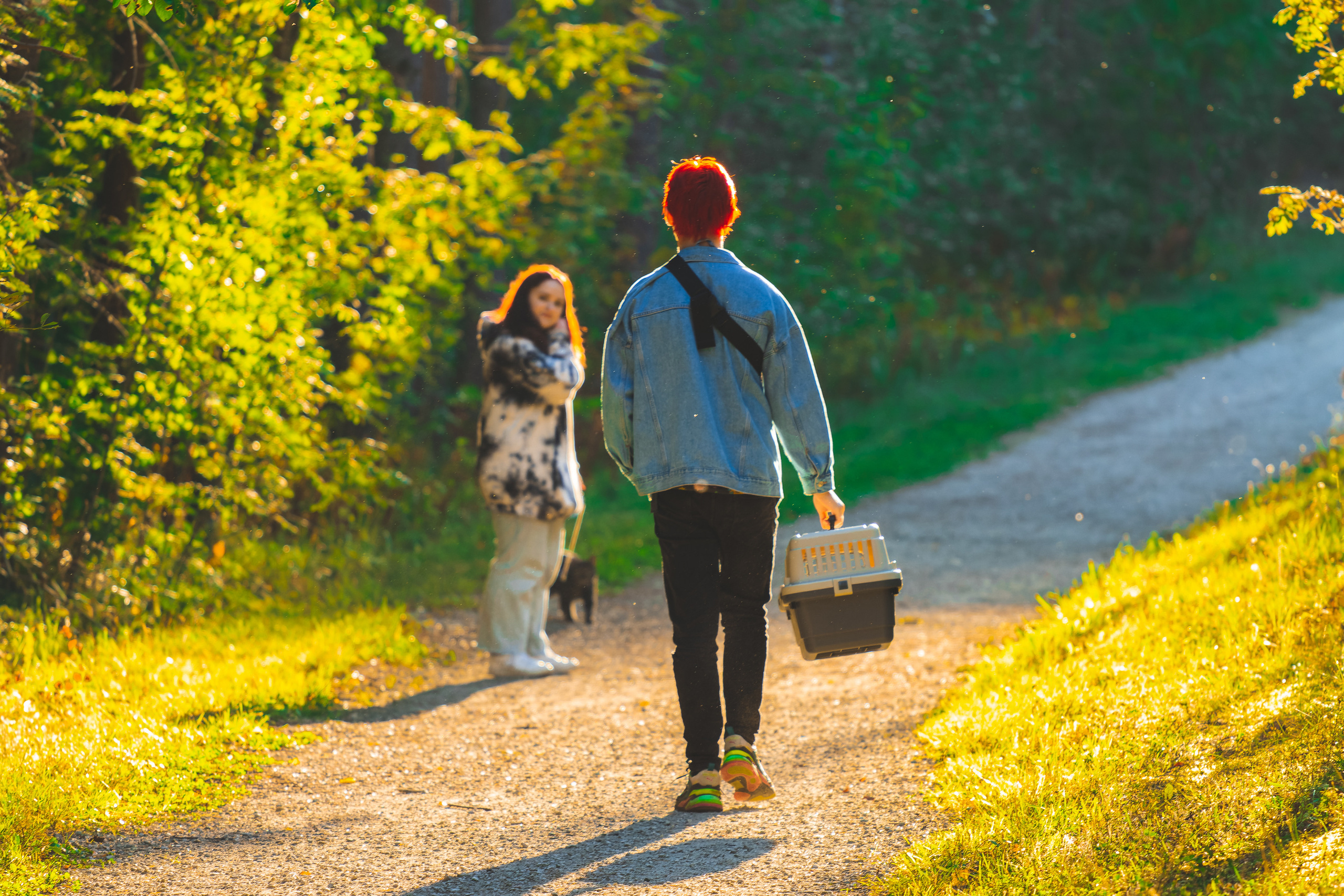 Suitsudeemon ja tema kass (Saša). Nebula 25 — Fotod teie hingele