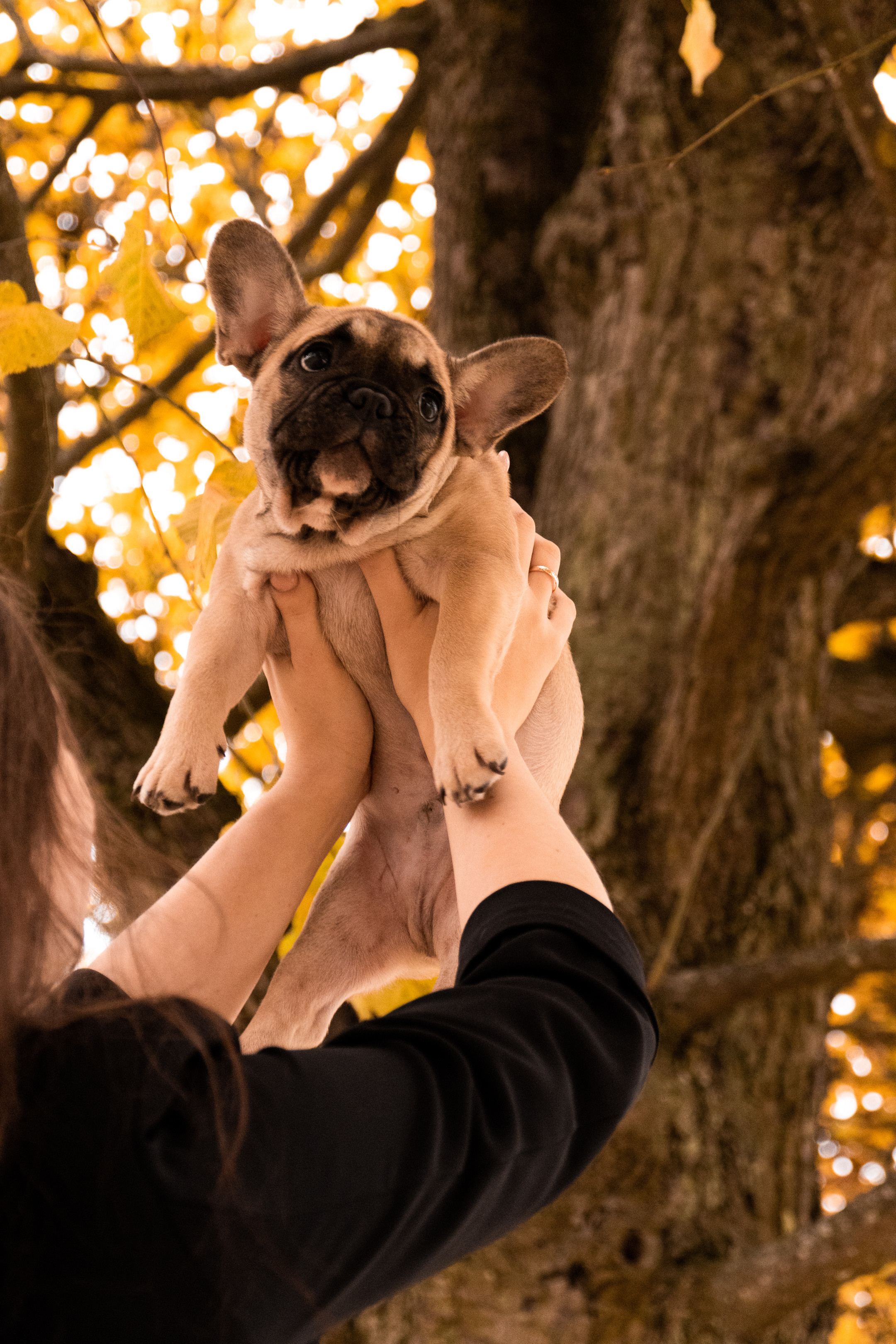 Kadriorg (Miša ja Daša). Nebula 25 — Fotod teie hingele