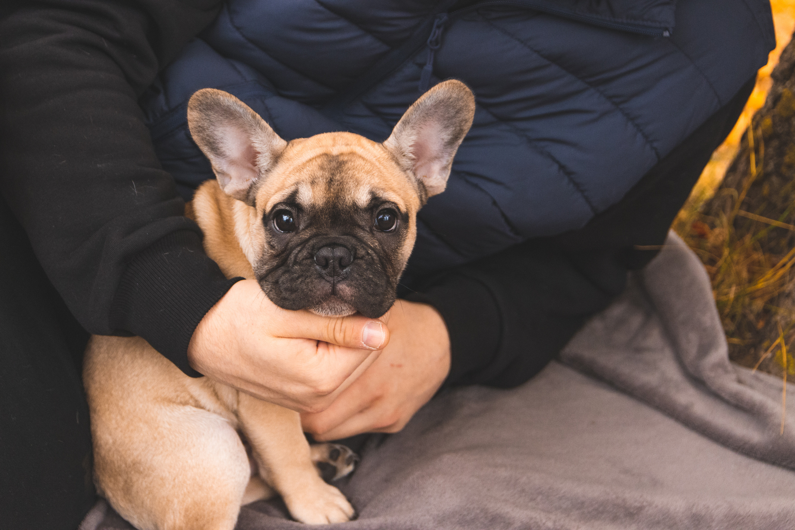 Kadriorg (Miša ja Daša). Nebula 25 — Fotod teie hingele