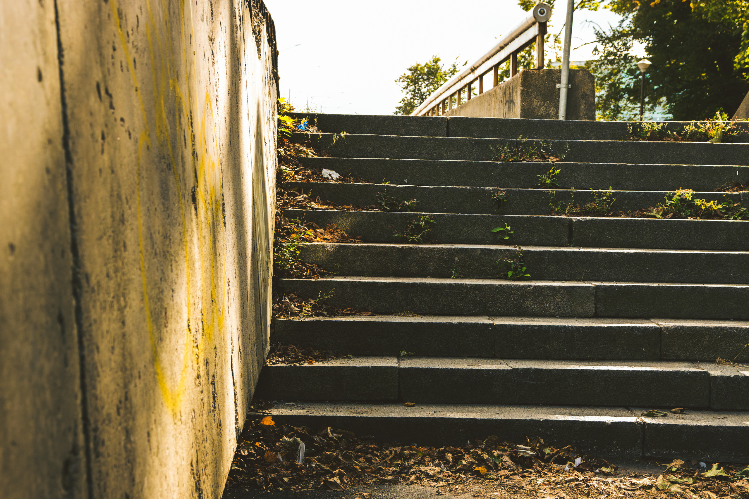 Sügise killud. Nebula 25 — Fotod teie hingele