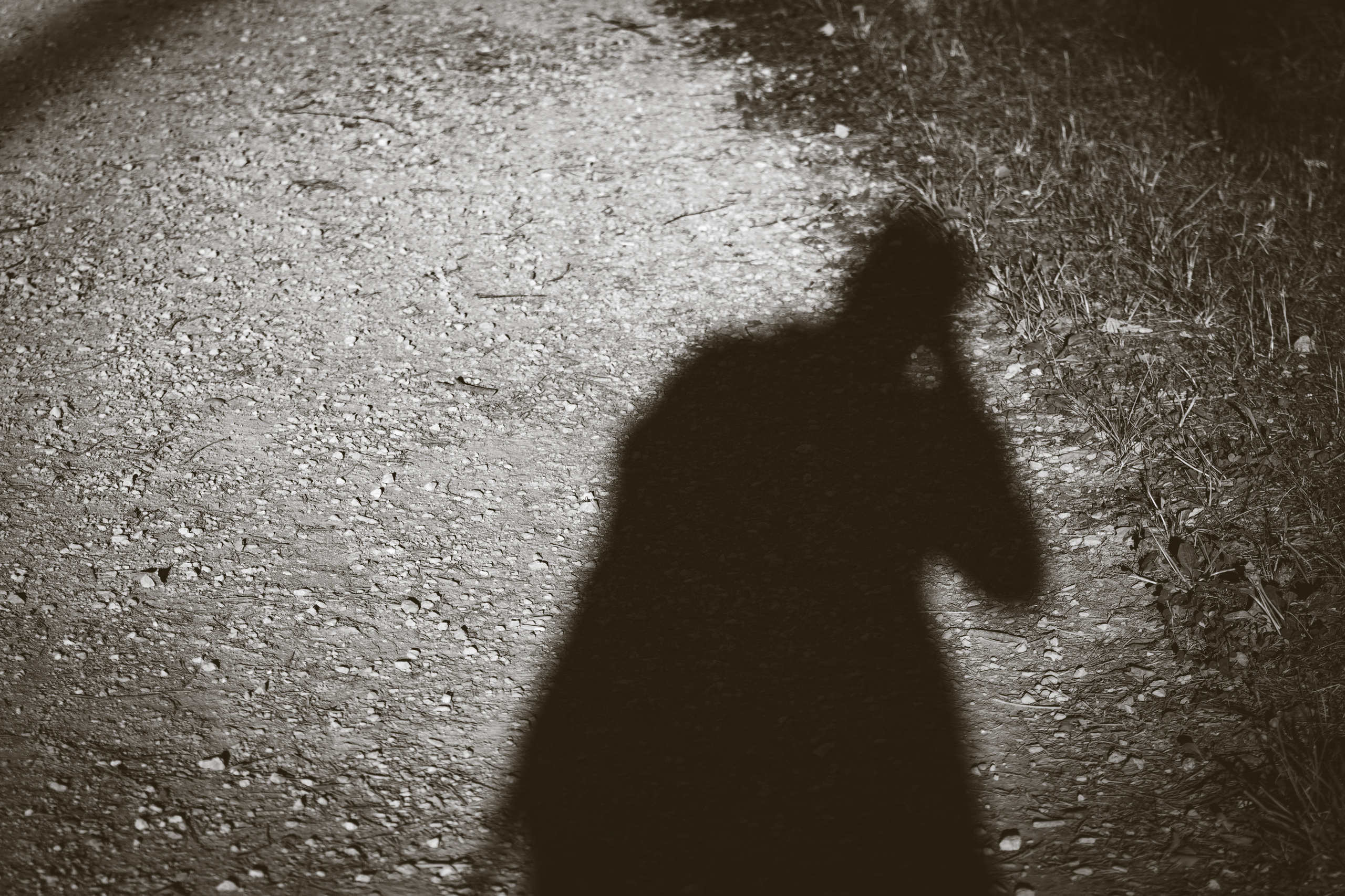 Suitsudeemon ja tema kass (Saša). Nebula 25 — Fotod teie hingele