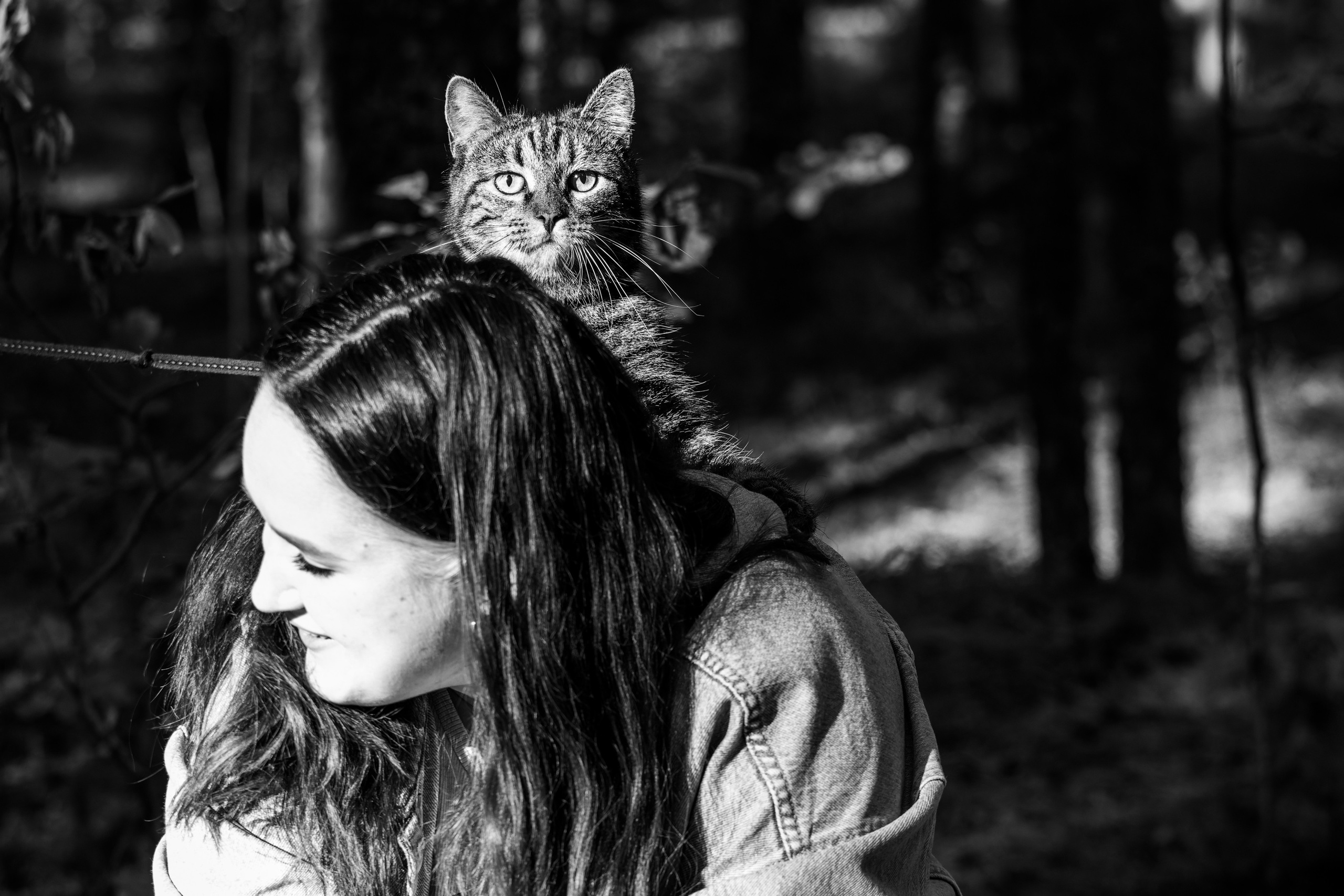 Suitsudeemon ja tema kass (Saša). Nebula 25 — Fotod teie hingele