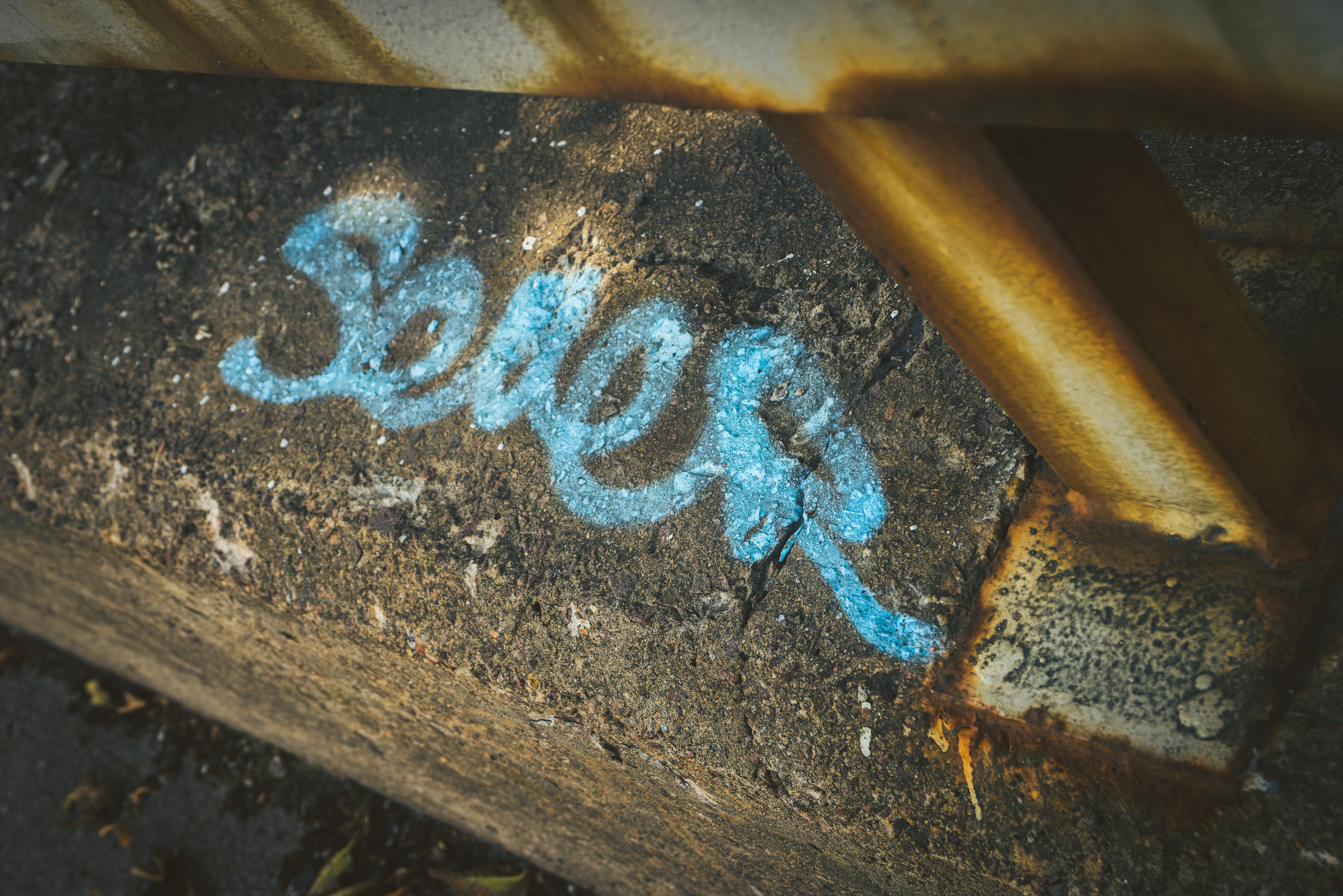 Sügise killud. Nebula 25 — Fotod teie hingele