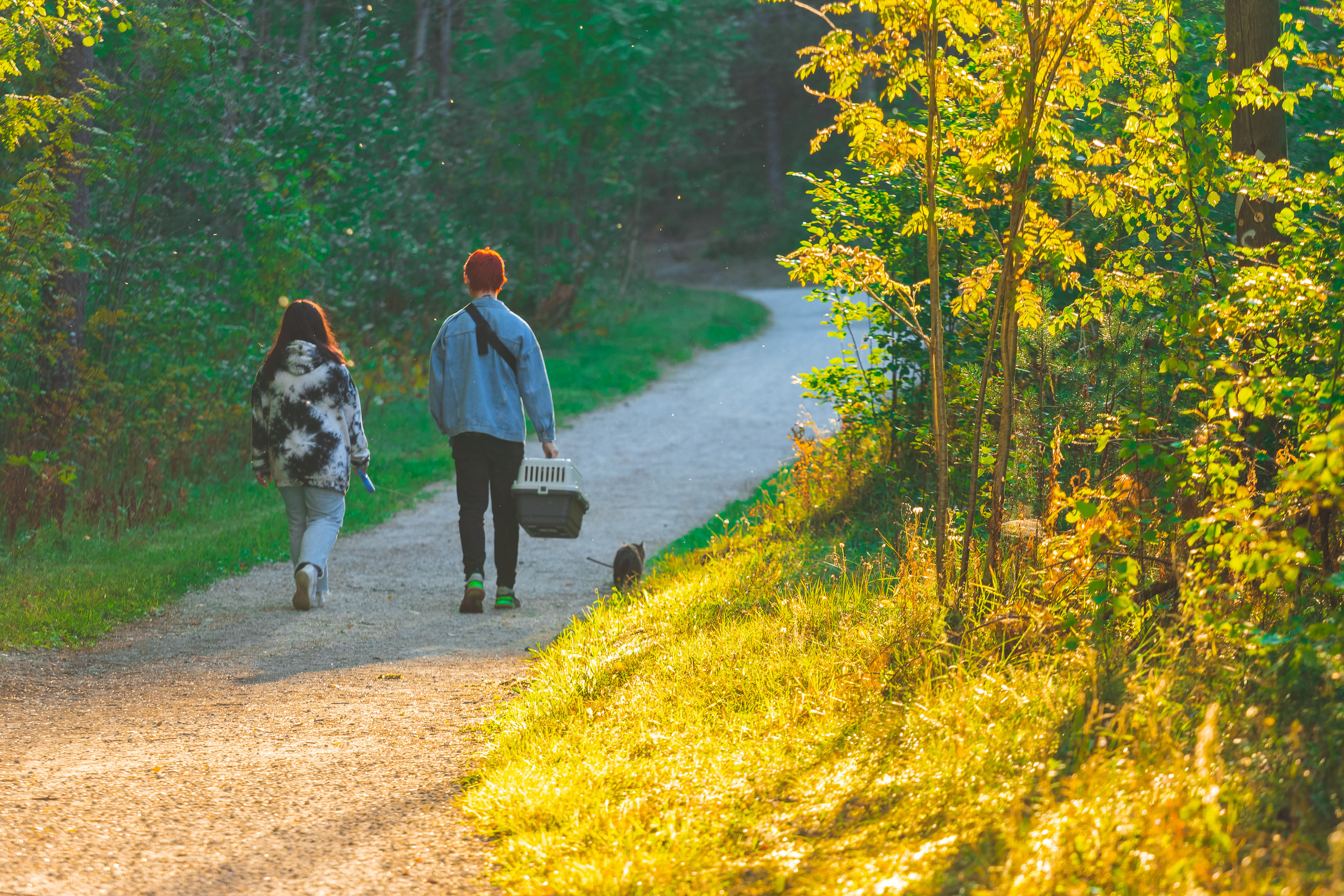 Suitsudeemon ja tema kass (Saša). Nebula 25 — Fotod teie hingele