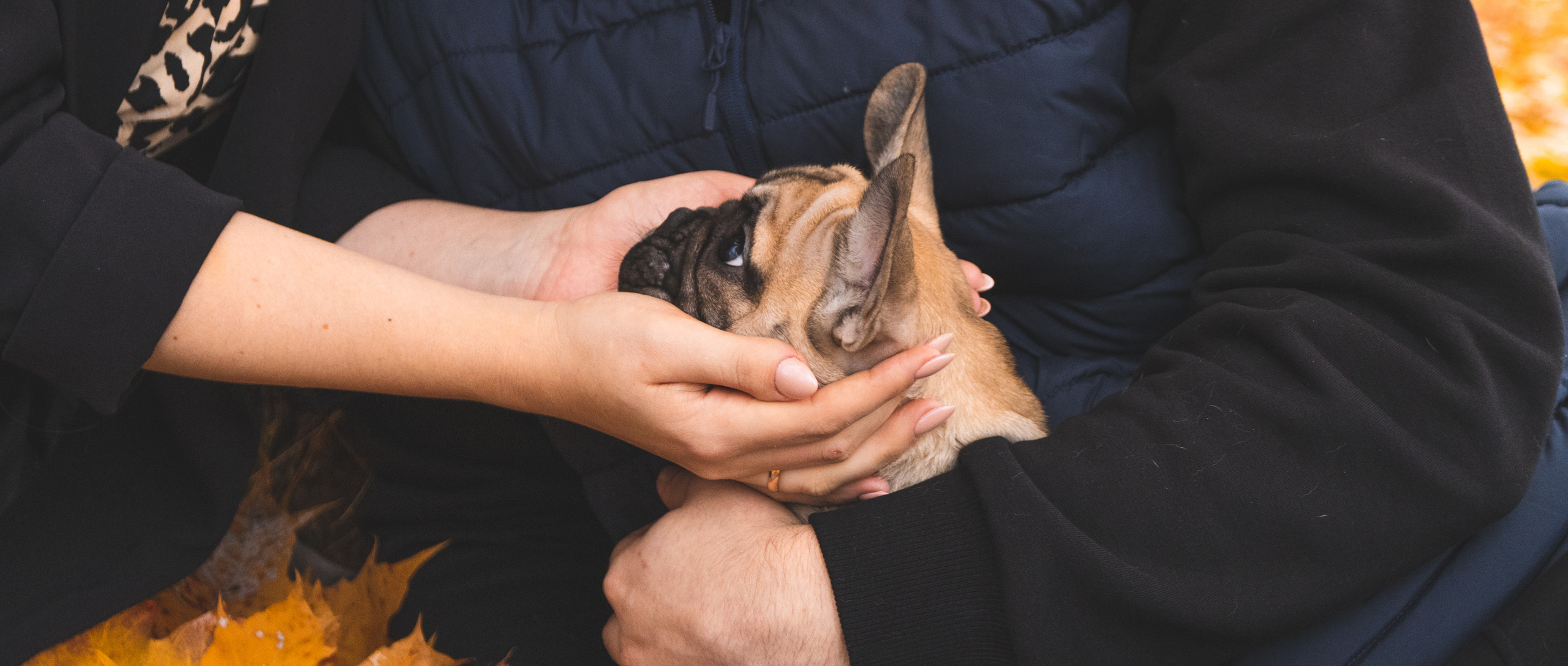 Kadriorg (Miša ja Daša). Nebula 25 — Fotod teie hingele