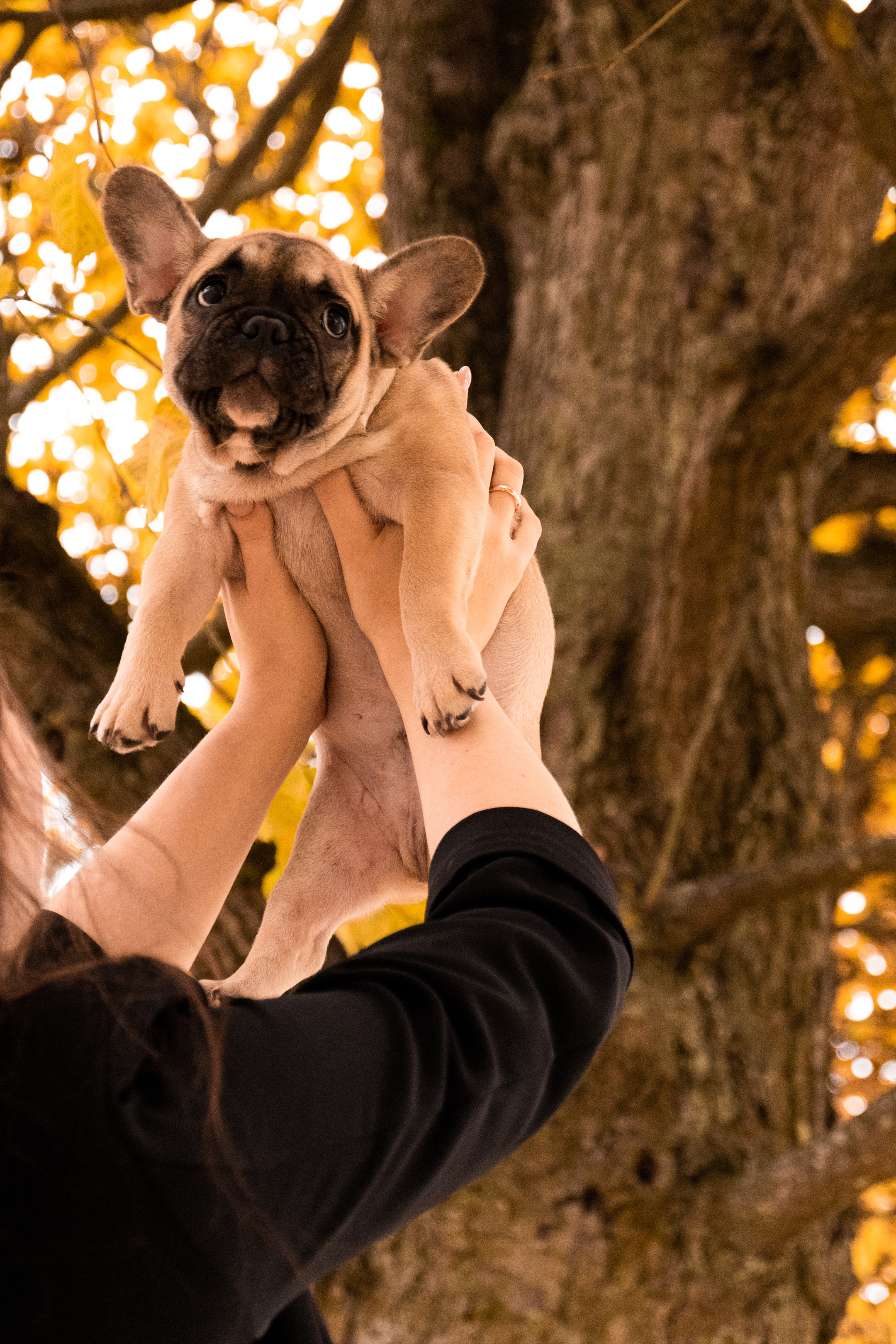 Kadriorg (Miša ja Daša). Nebula 25 — Fotod teie hingele