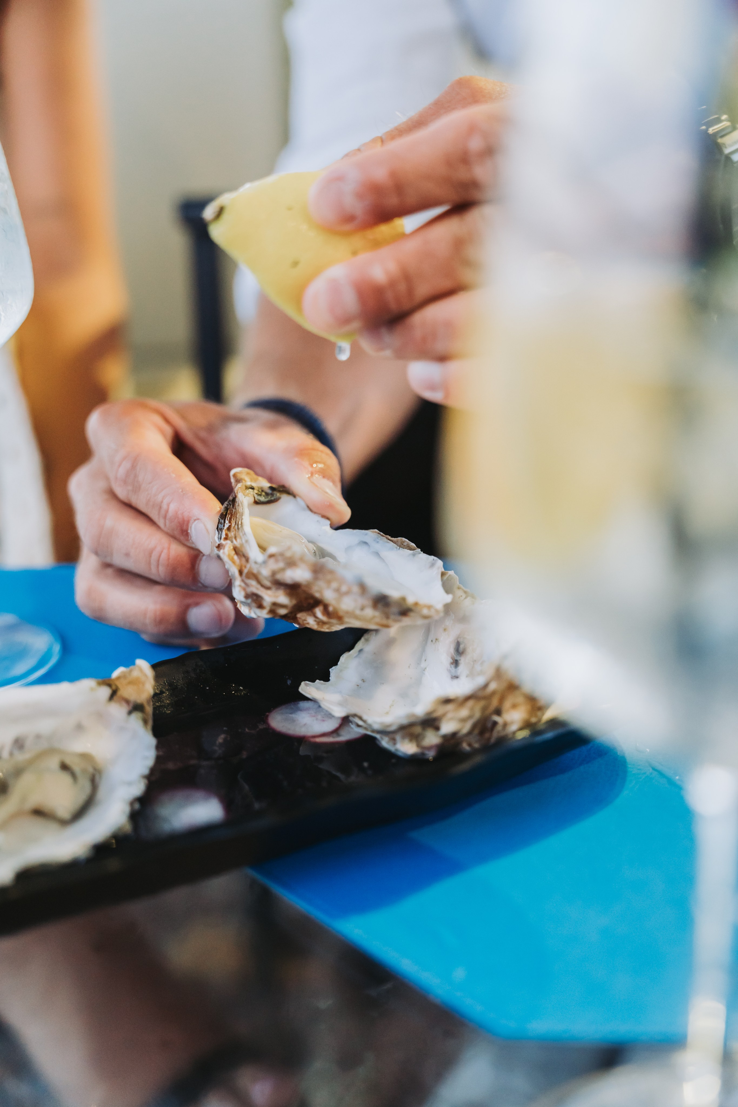 Hotel spiaggia d’oro - Lago di Garda. Fotografia e video