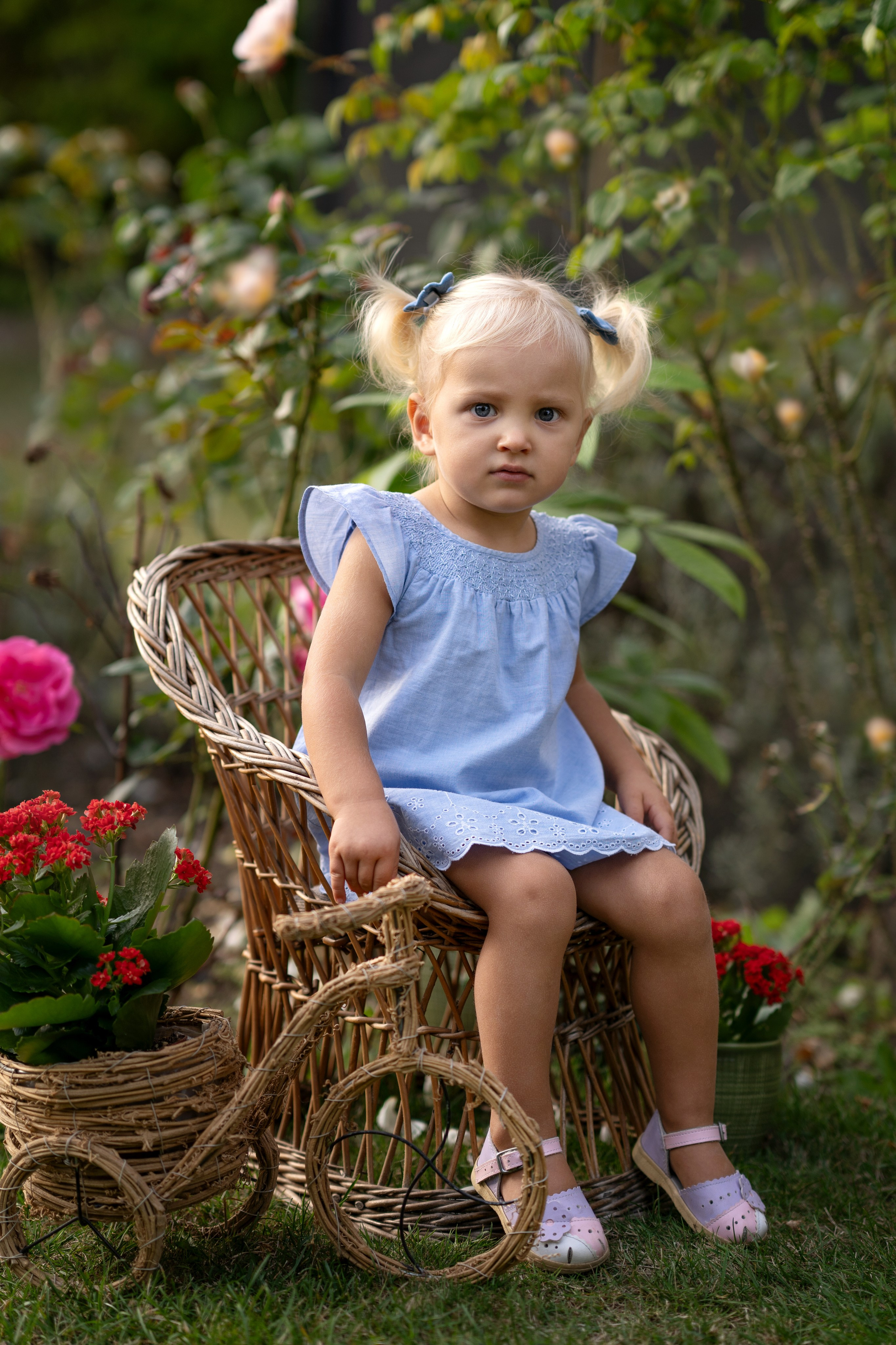 KiTa Fotoshooting. Hochzeit und Familien Foto und Video