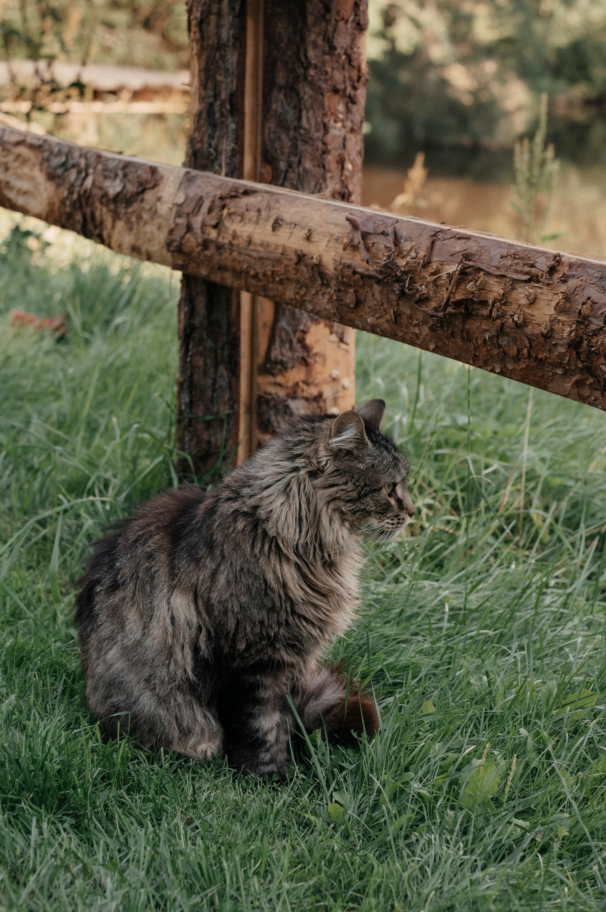 Свадьба. Фотограф Таллинн — свадьба |семья | lovestory