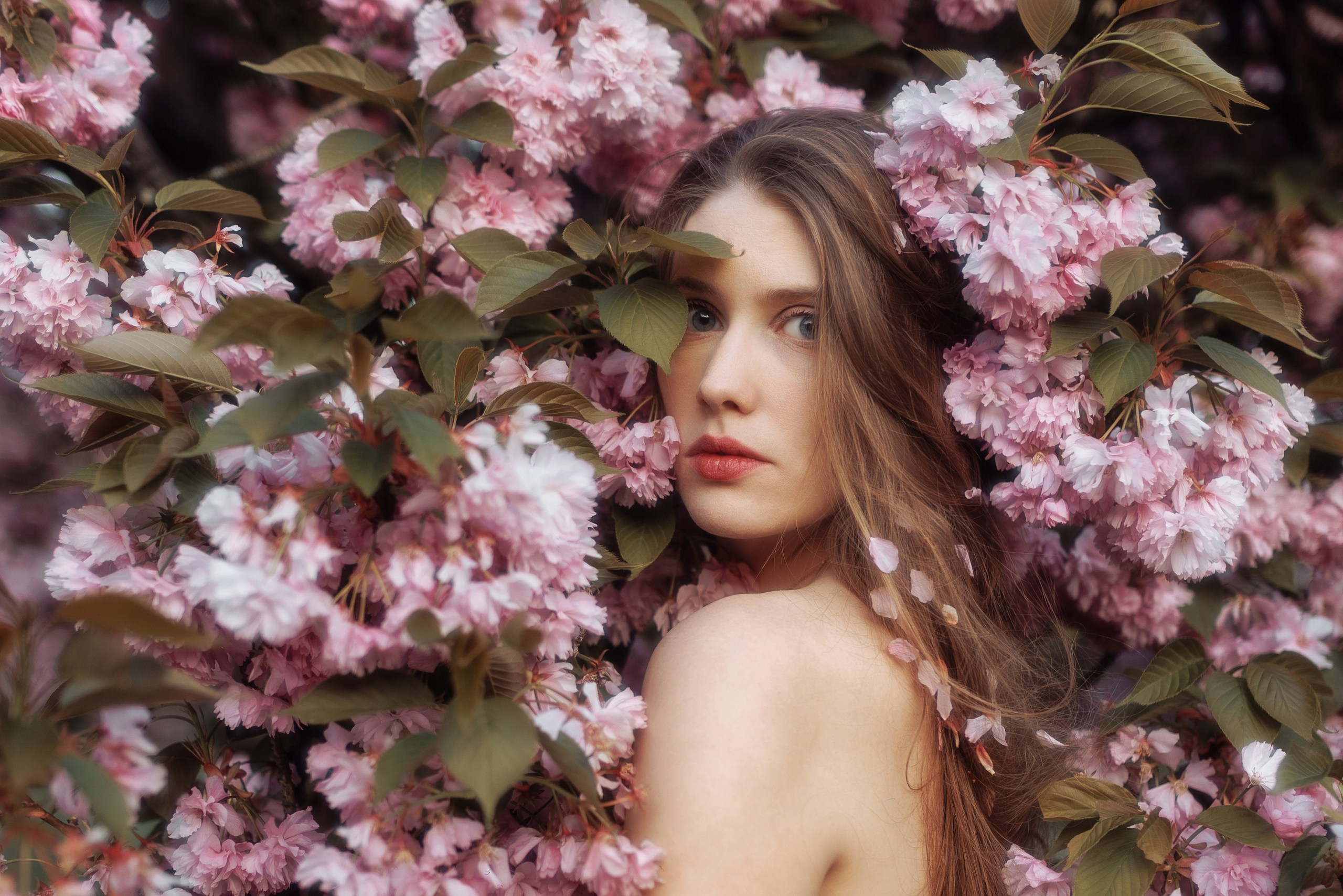 Съёмка в цветении. Анастасия