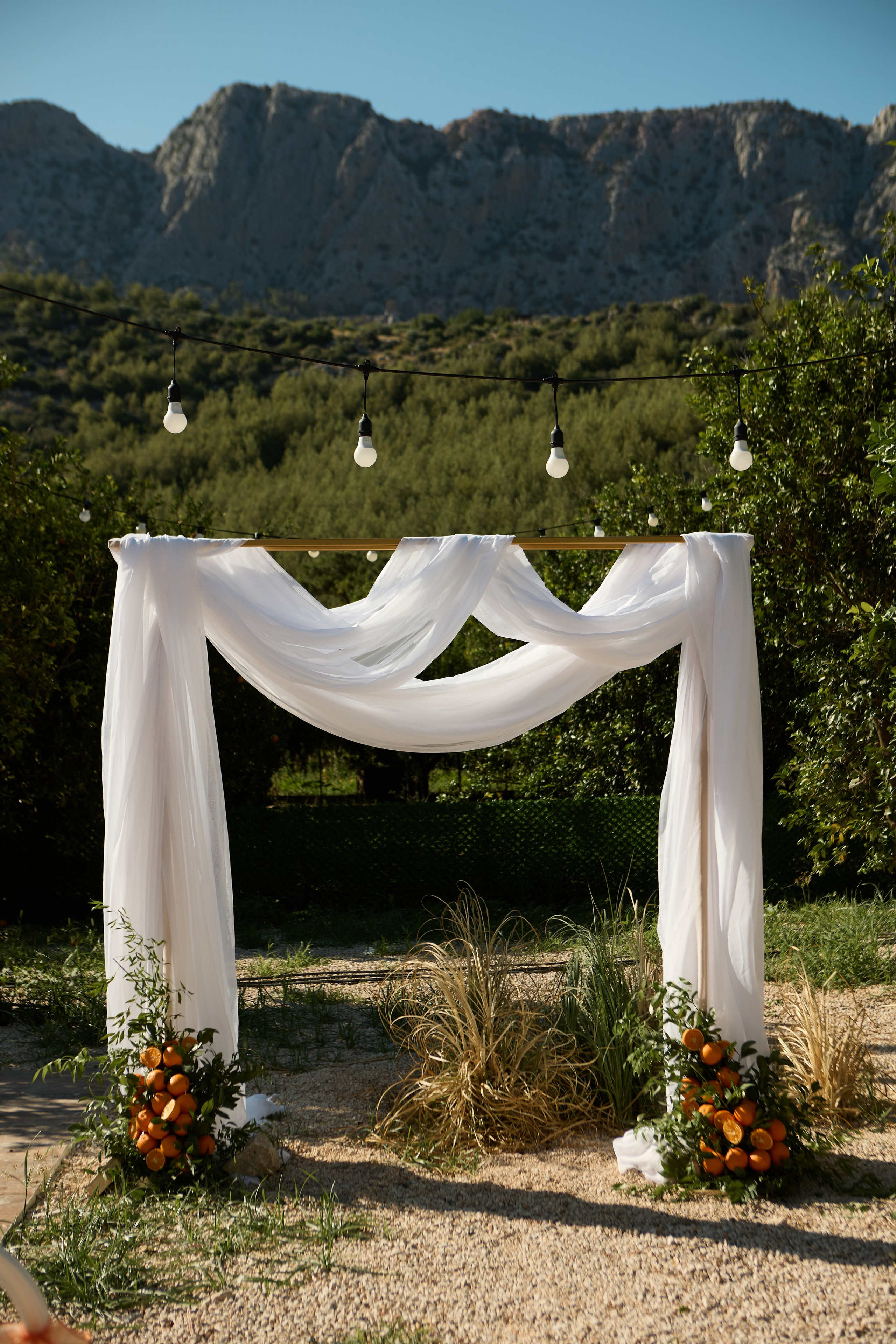 WEDDING 2025. Свадебный и семейный фотограф Жанна Руденко