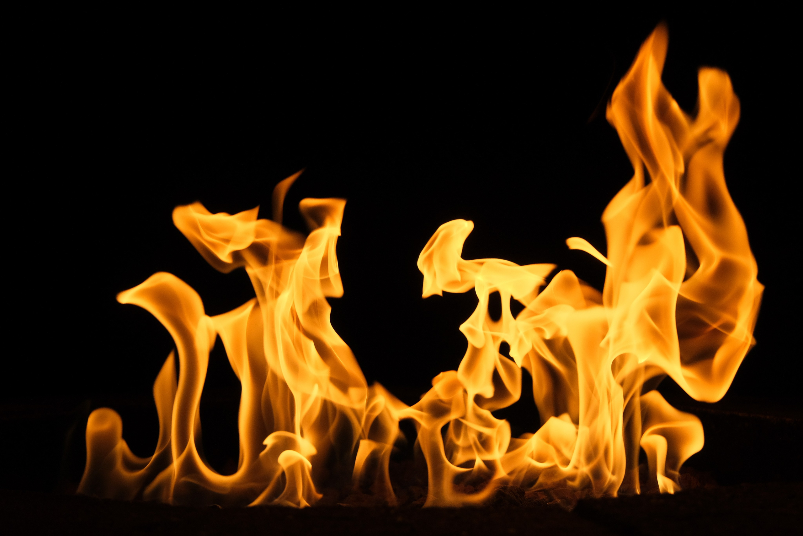 VATRA. Reportage concert portrait photography in the San Francisco Bay Area