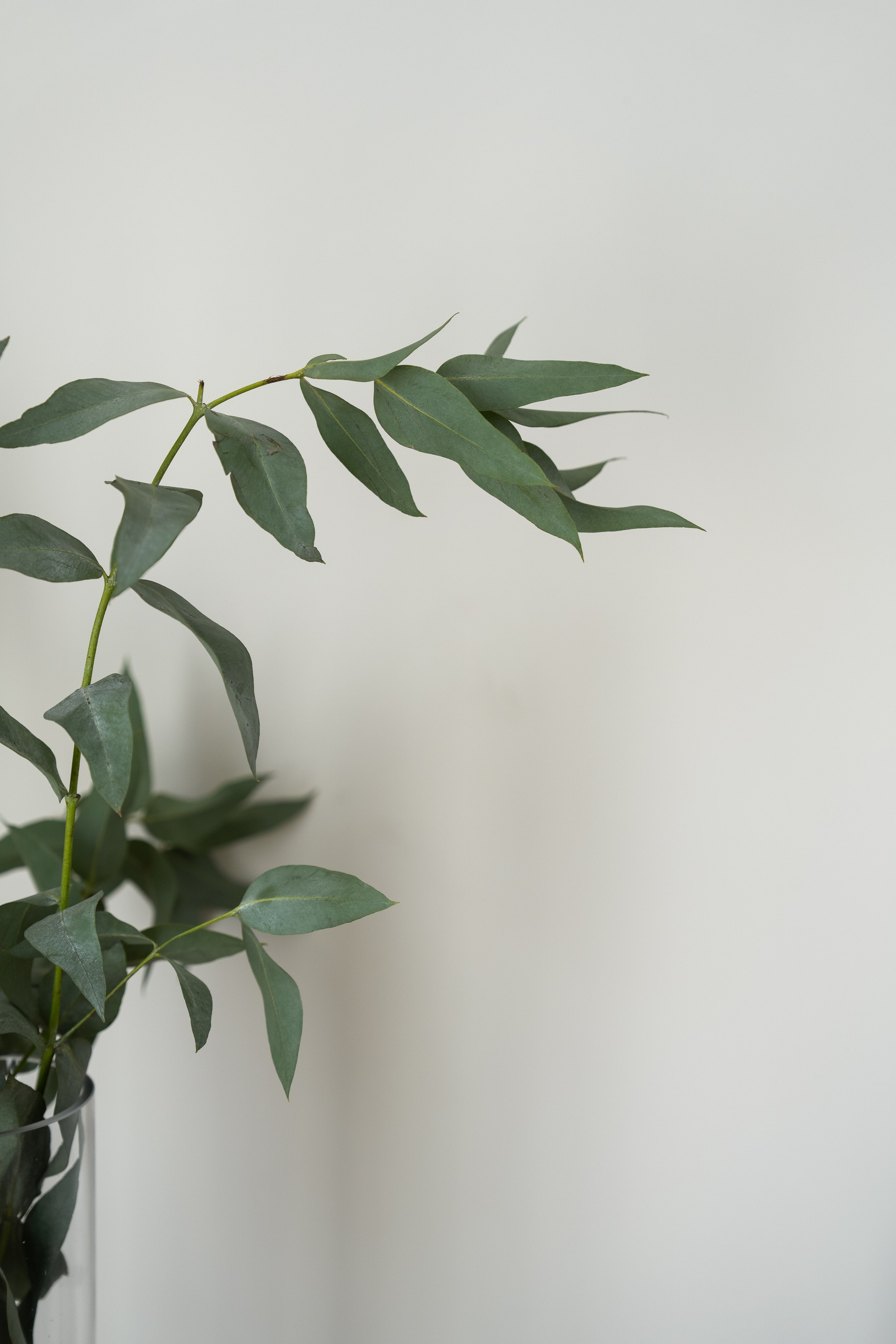 Контент для блога. Ekaterina Verbitskaya. Photography