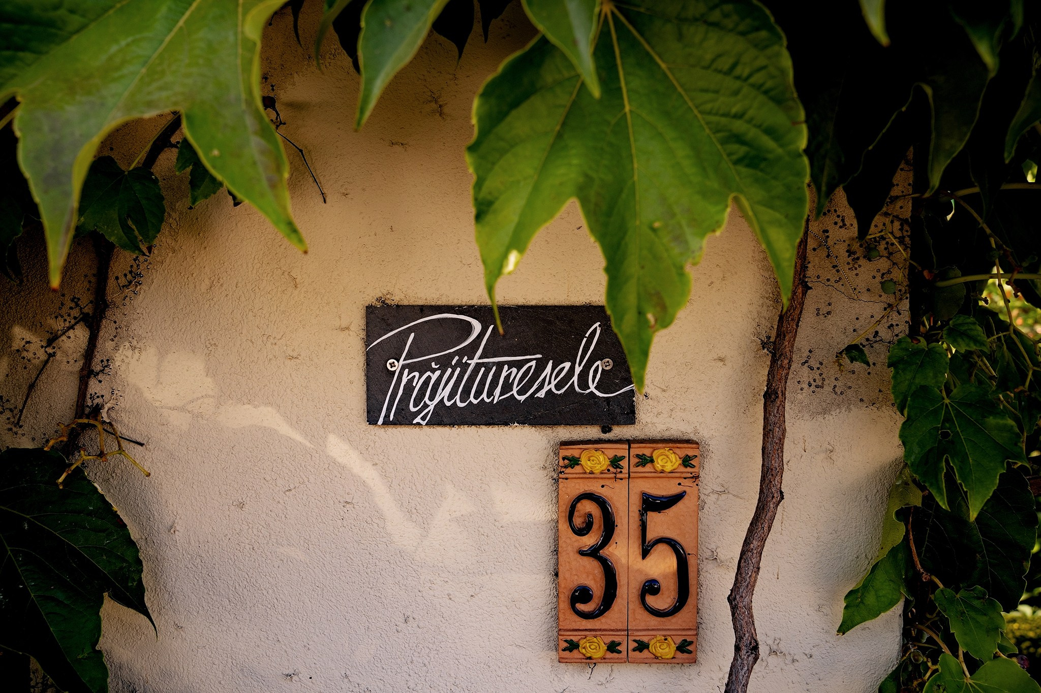 Marc Alexandru. Fotograf evenimente. Fotograf nunta. Fotograf Botez. Mihaela Savu