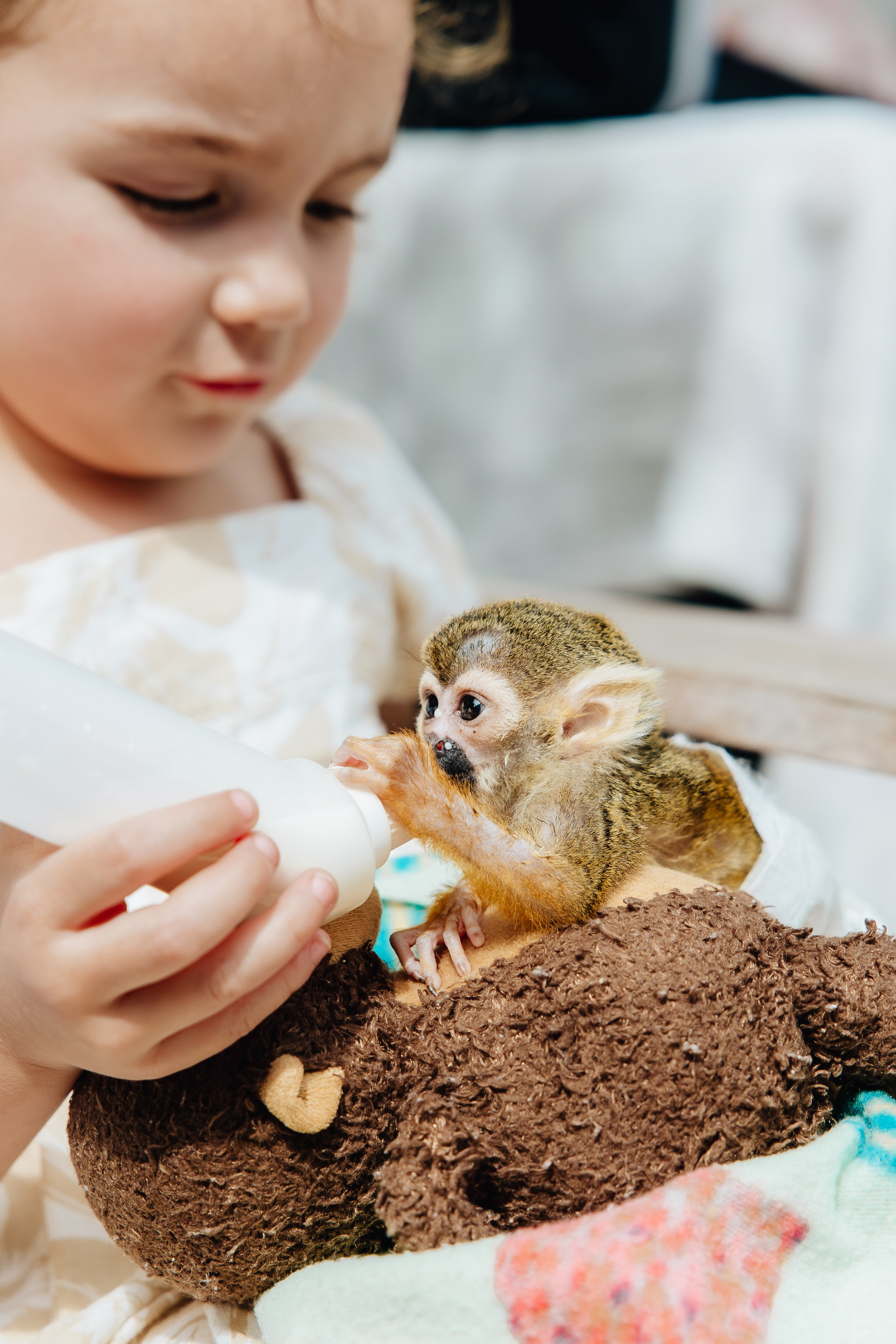 Kids Party. Alya Leto Photographer