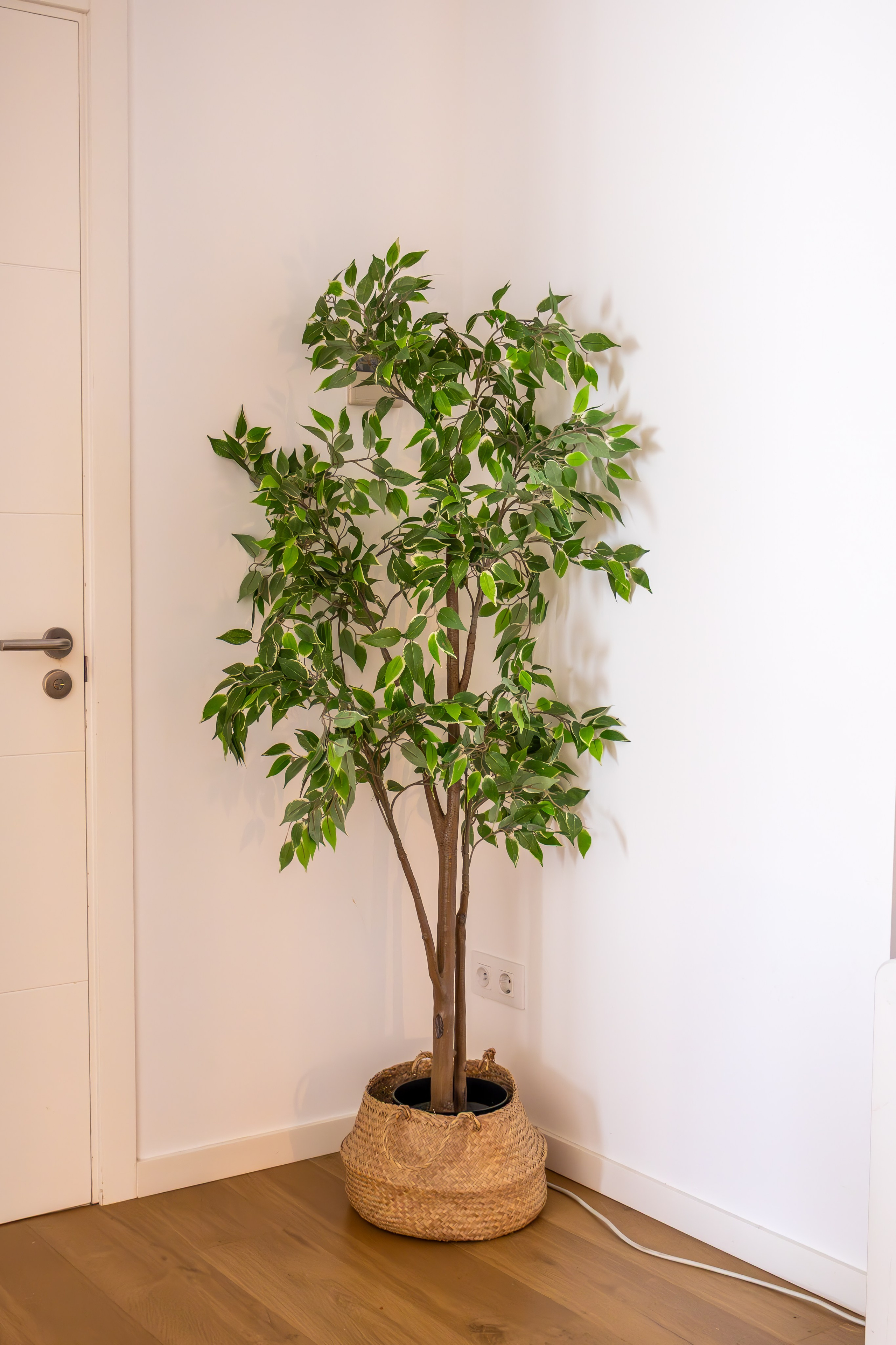 A Two-Bedroom Villa with Swimming Pool 🫶. Create with Twila