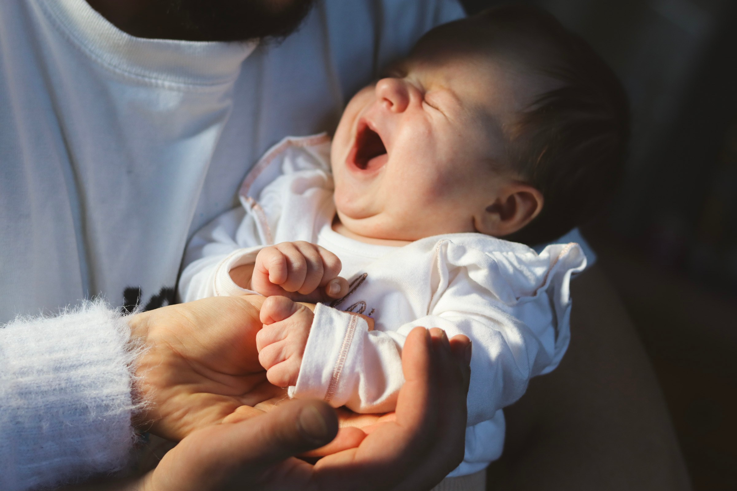 Without leaving home. Photographer Margarita Antonova in Naas, Co Kildare