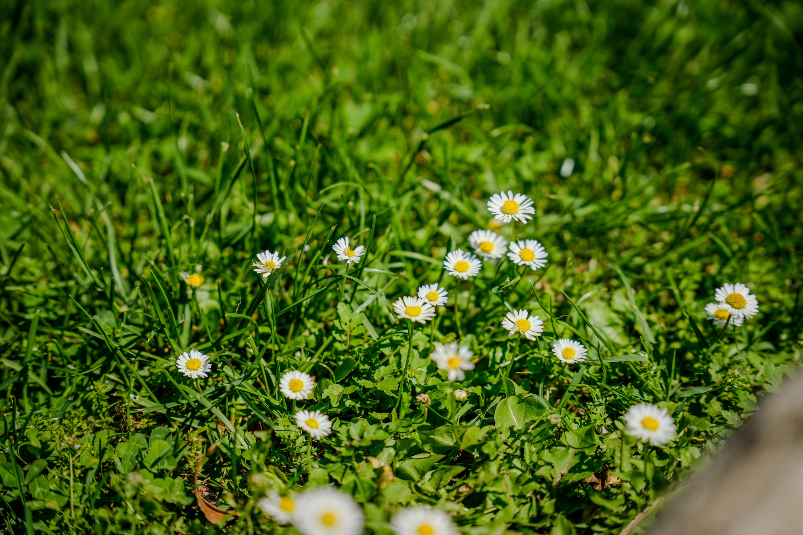 Bank Jerusalem — Team Retreat