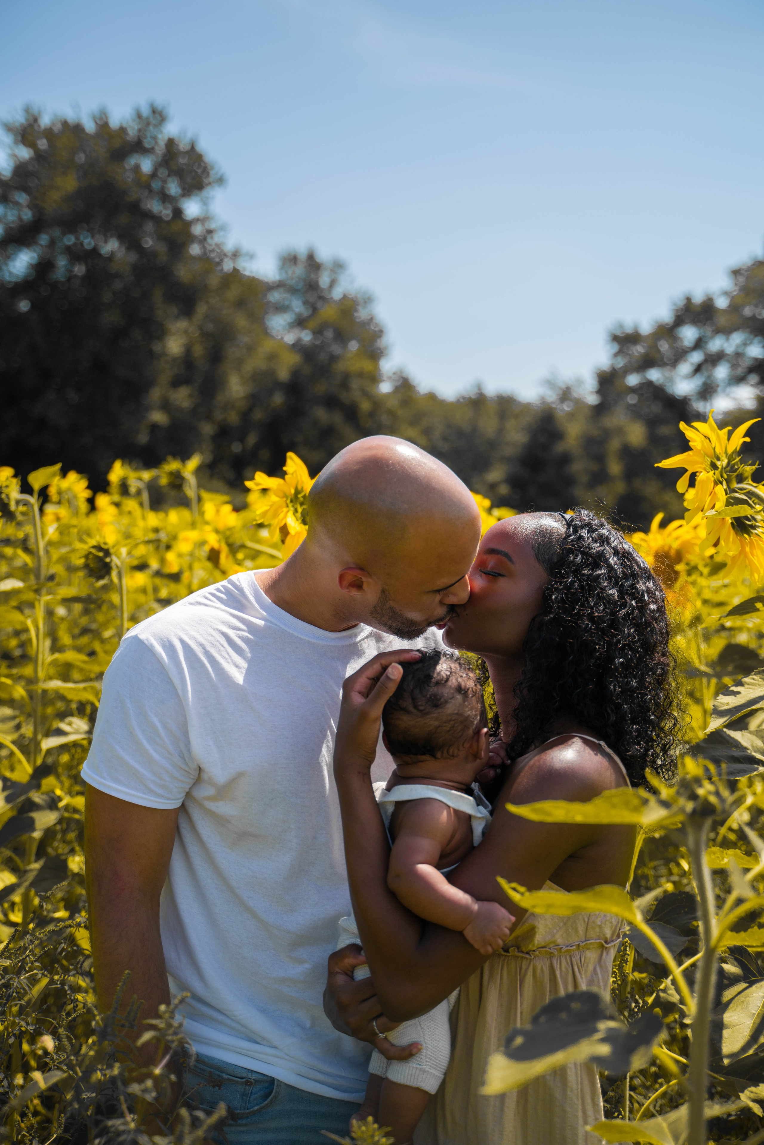 Jennifer and Louis at Sunflowers Farm. Stefanovich Photography | Boston, MA