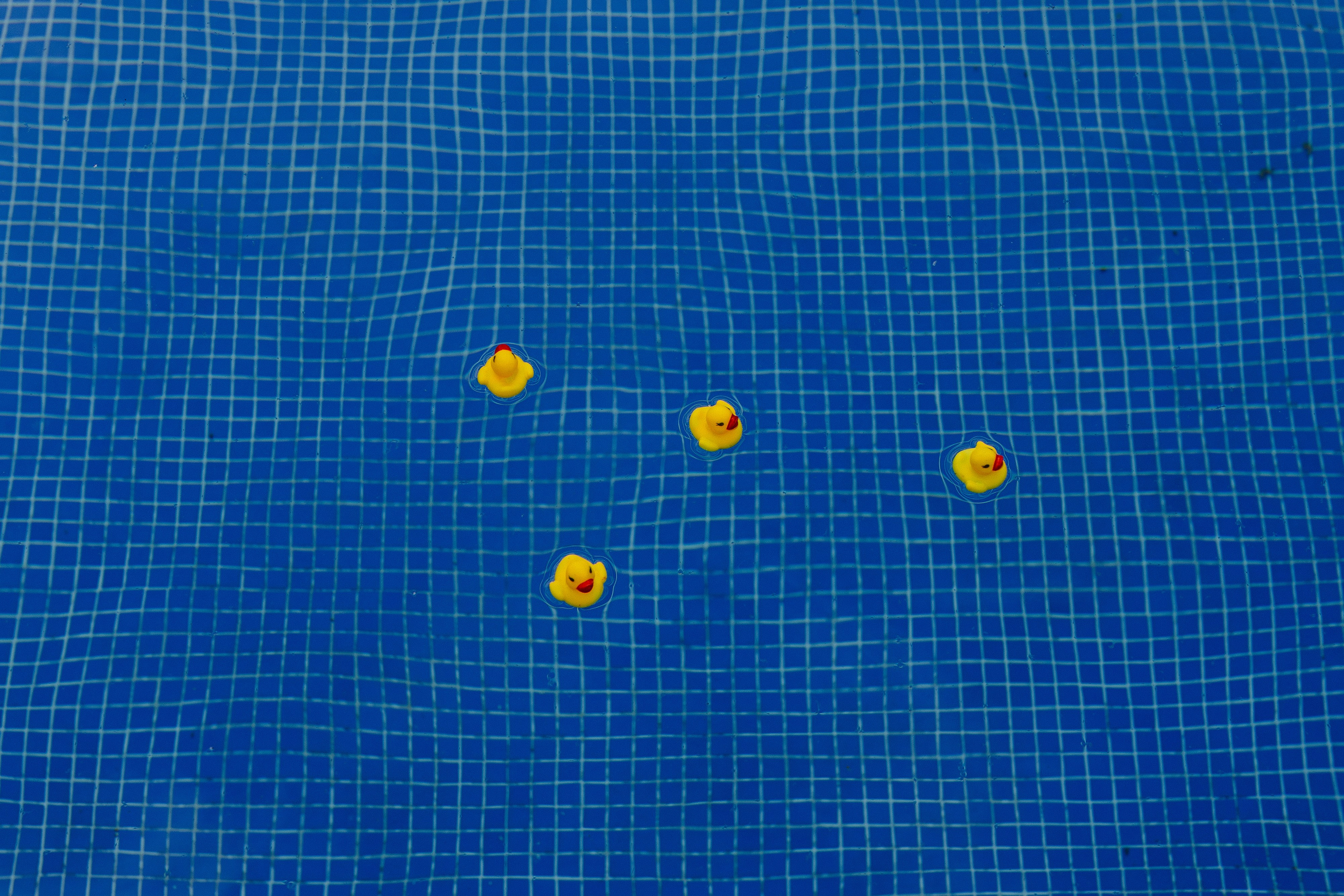 Алмаз и Алина. Азимжан Нуритдинходжаев — свадебный фотограф