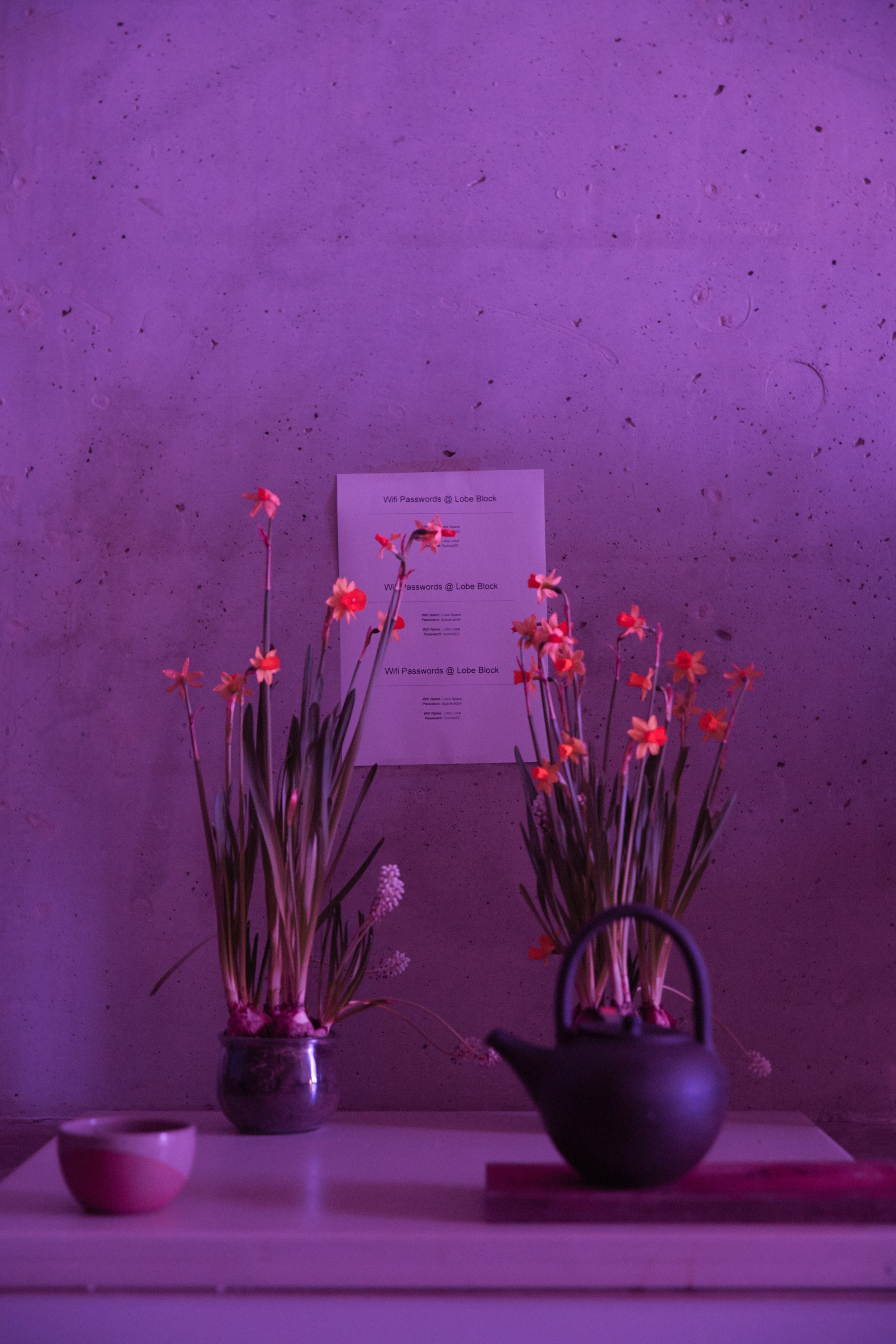 Events. Photographer Katya Vlasova