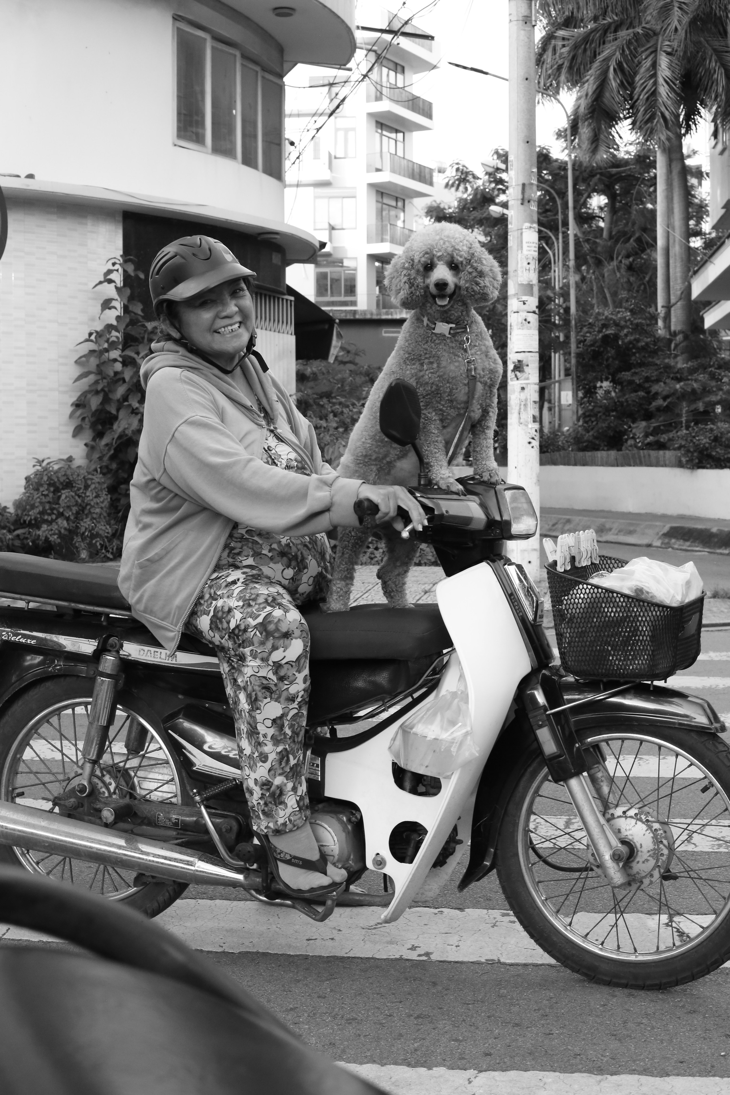 Ho Chi Minh, Vietnam | Part 2| 2025. Art Photographer