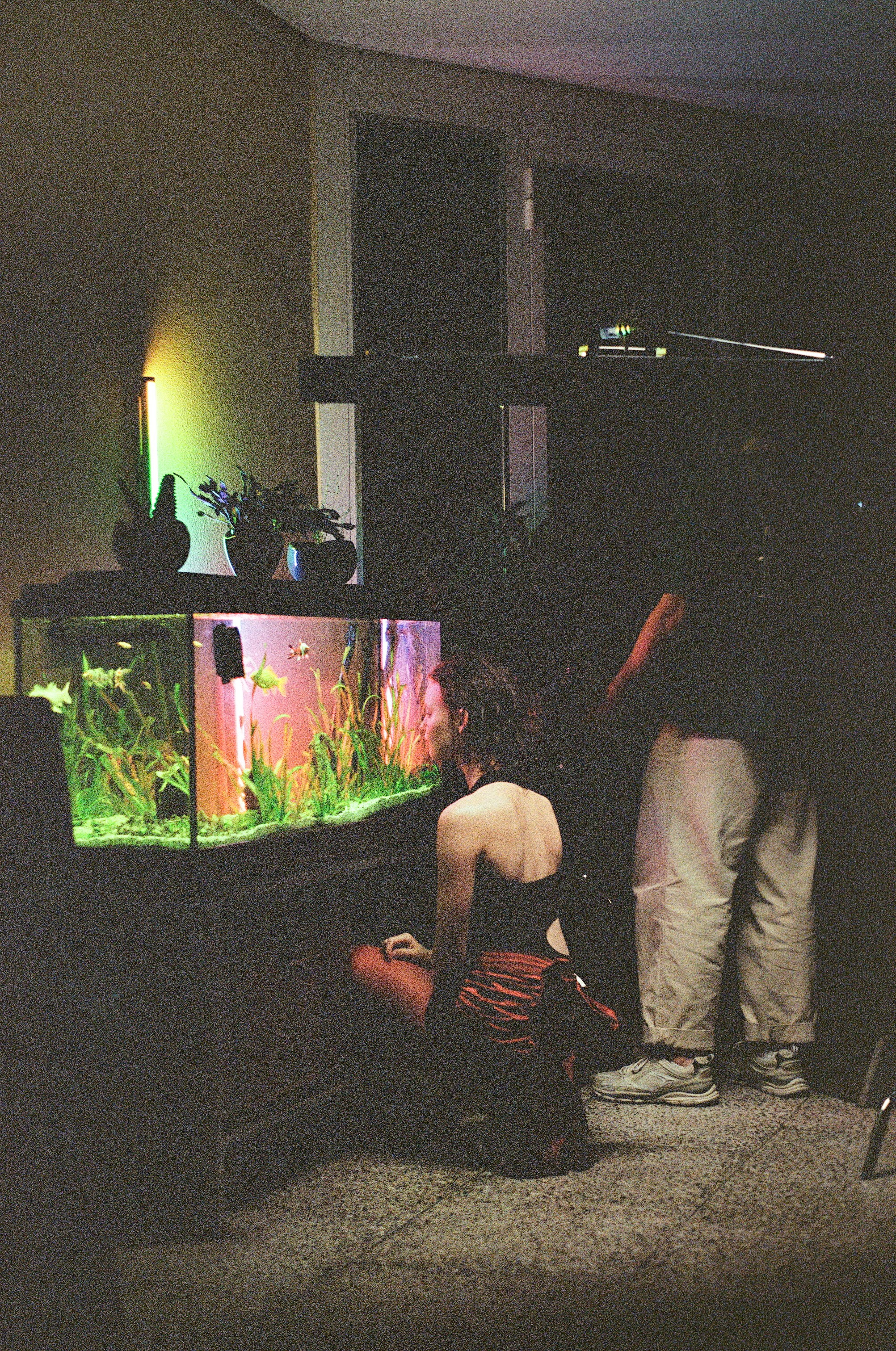 HEART OF GLASS. Versoluna