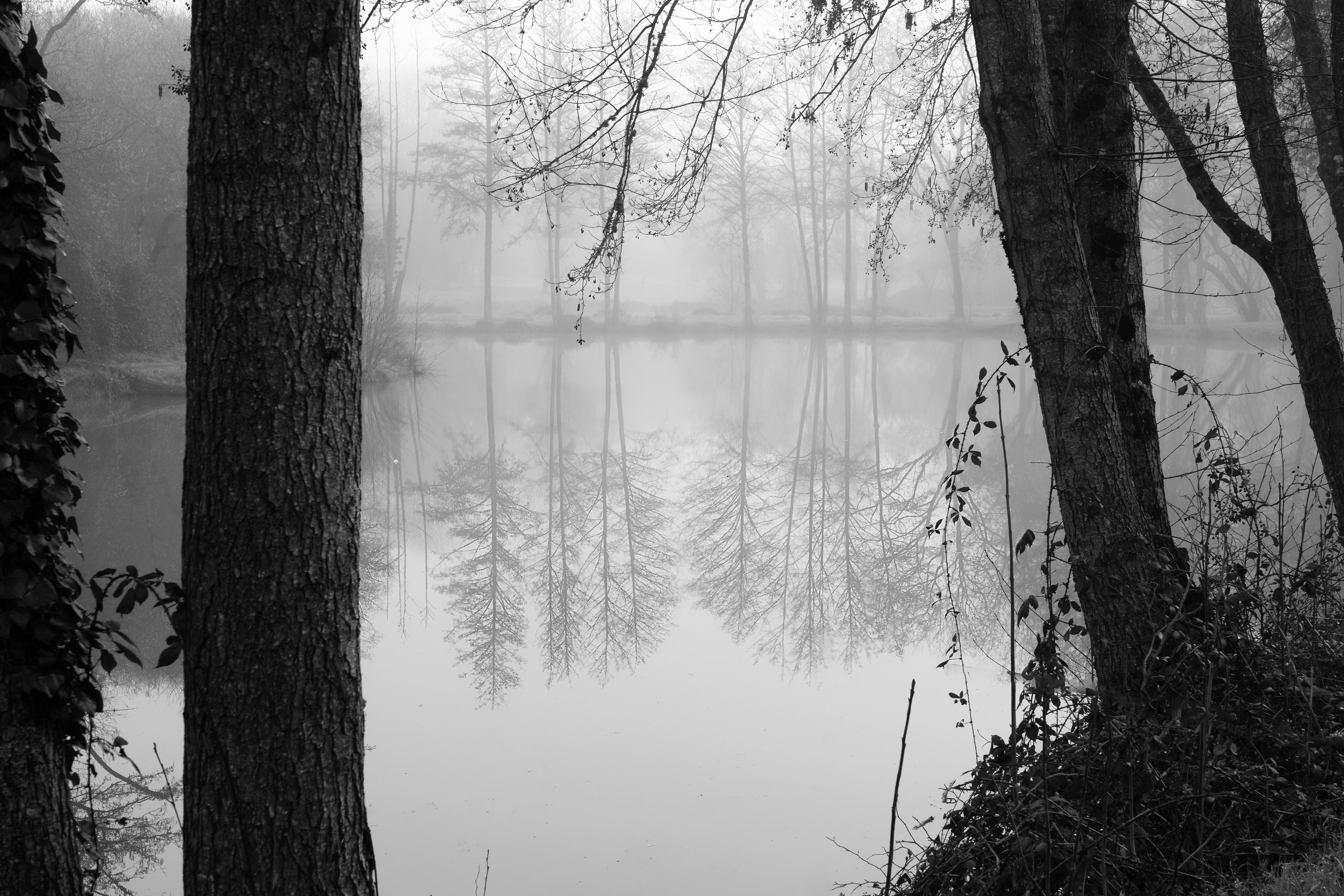 Paysages. Portrais créatifs de familles et individuels, Ile et Vilaine, France