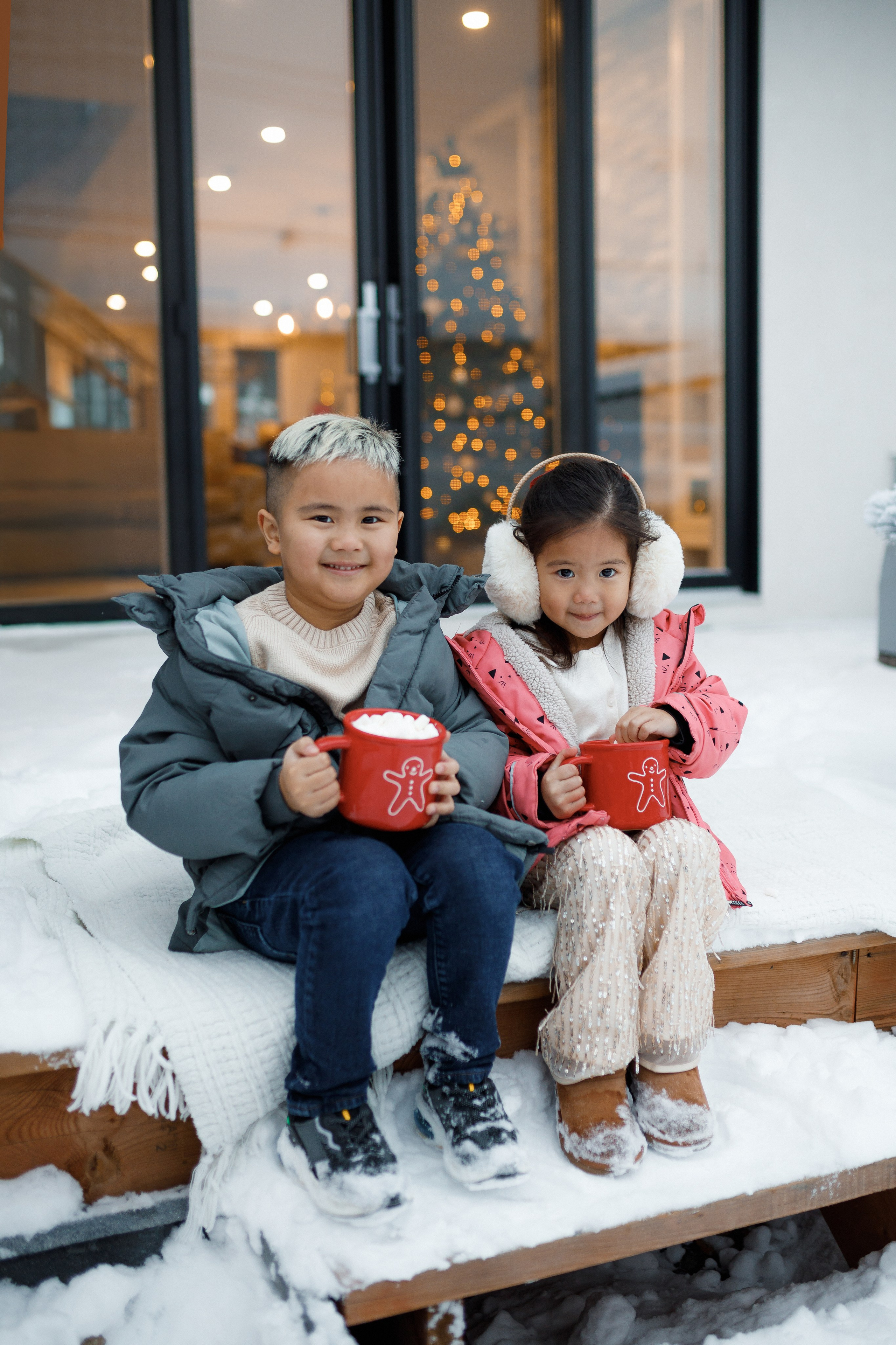 Christmas minis 2025. Home