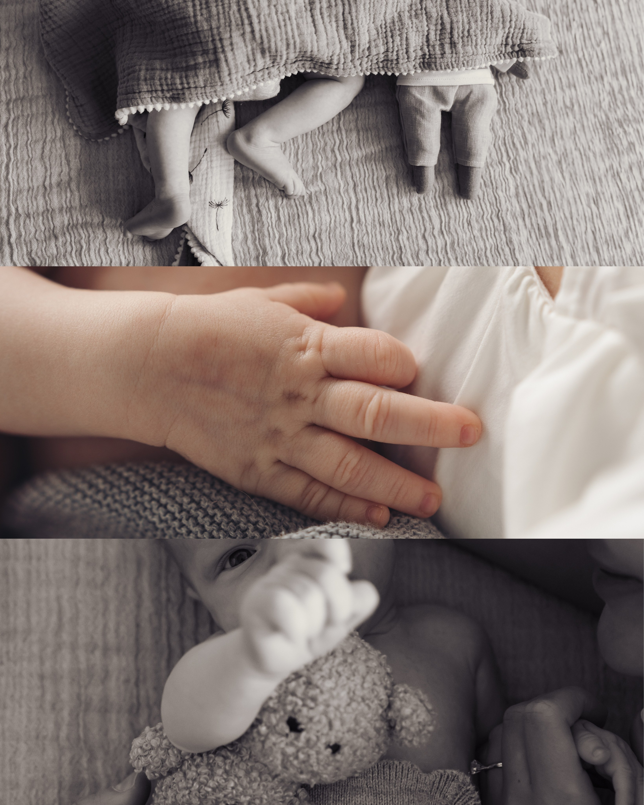 Welcome to the World. Dash_photopic.I’m Daria New York based photographer