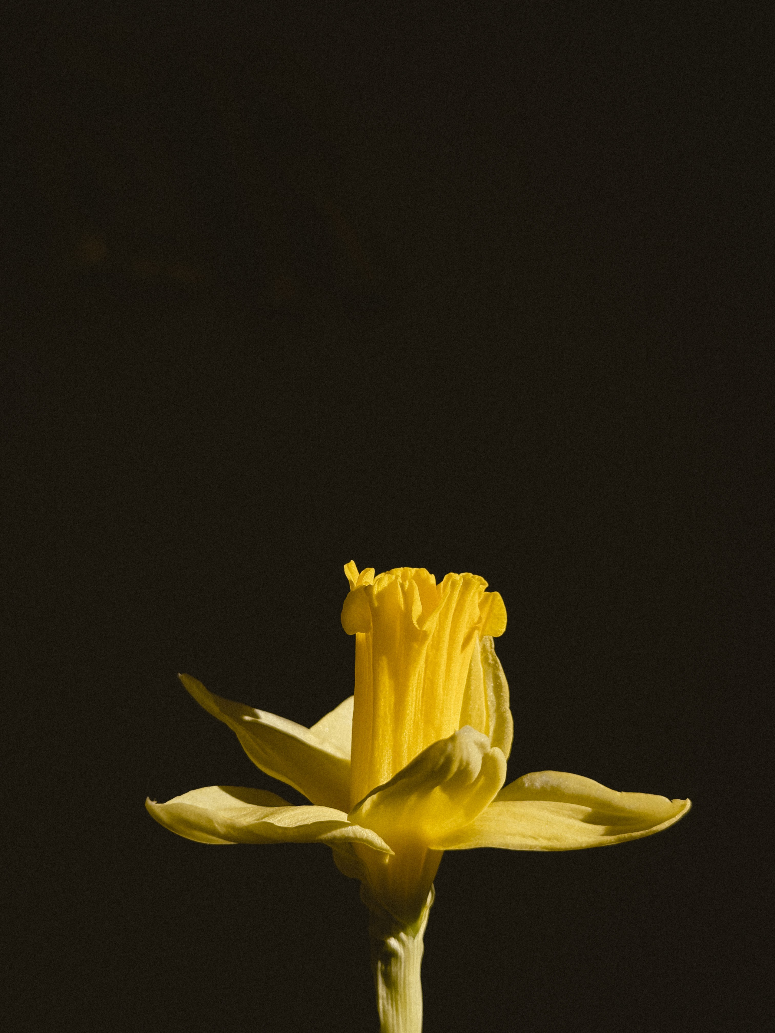 Мобильная съемка. Анастасия Еремина | Фотограф в Сербии | Персональные и бизнес-фотосессии в Белграде и Нови Саде