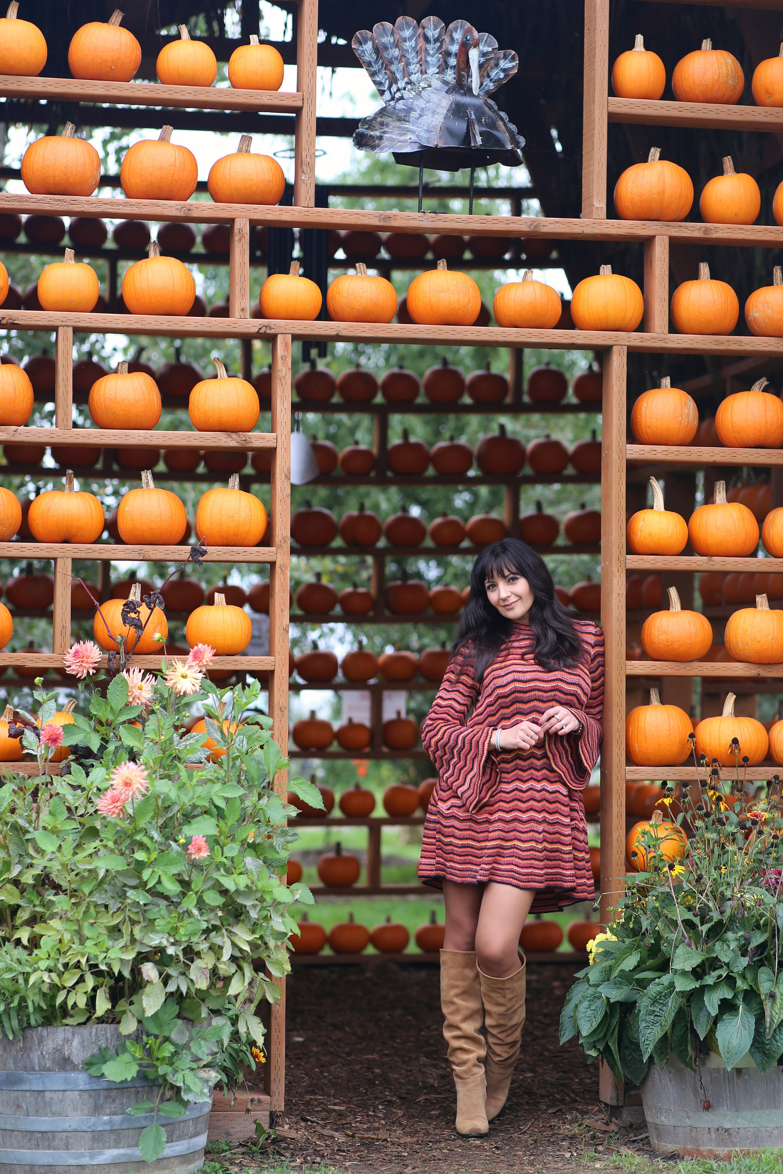 Fall. YuAnna studio. Family & Kids Photographer in Seattle area, located in