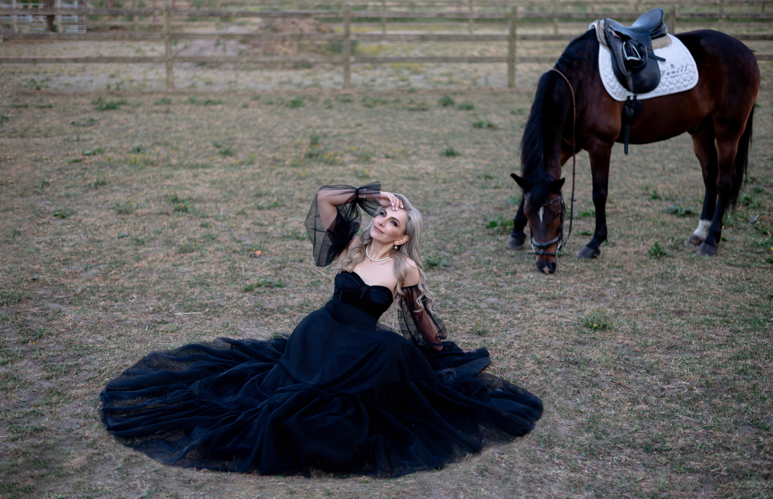 Photoshoot with Horses. Professional Photograher, Antwerpen/Belgium