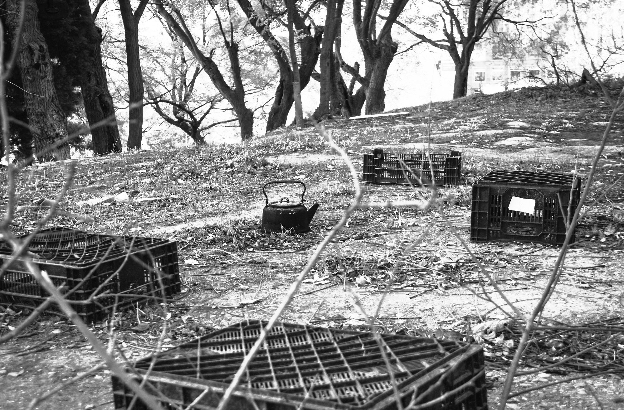 Singles. BNW Around Photography