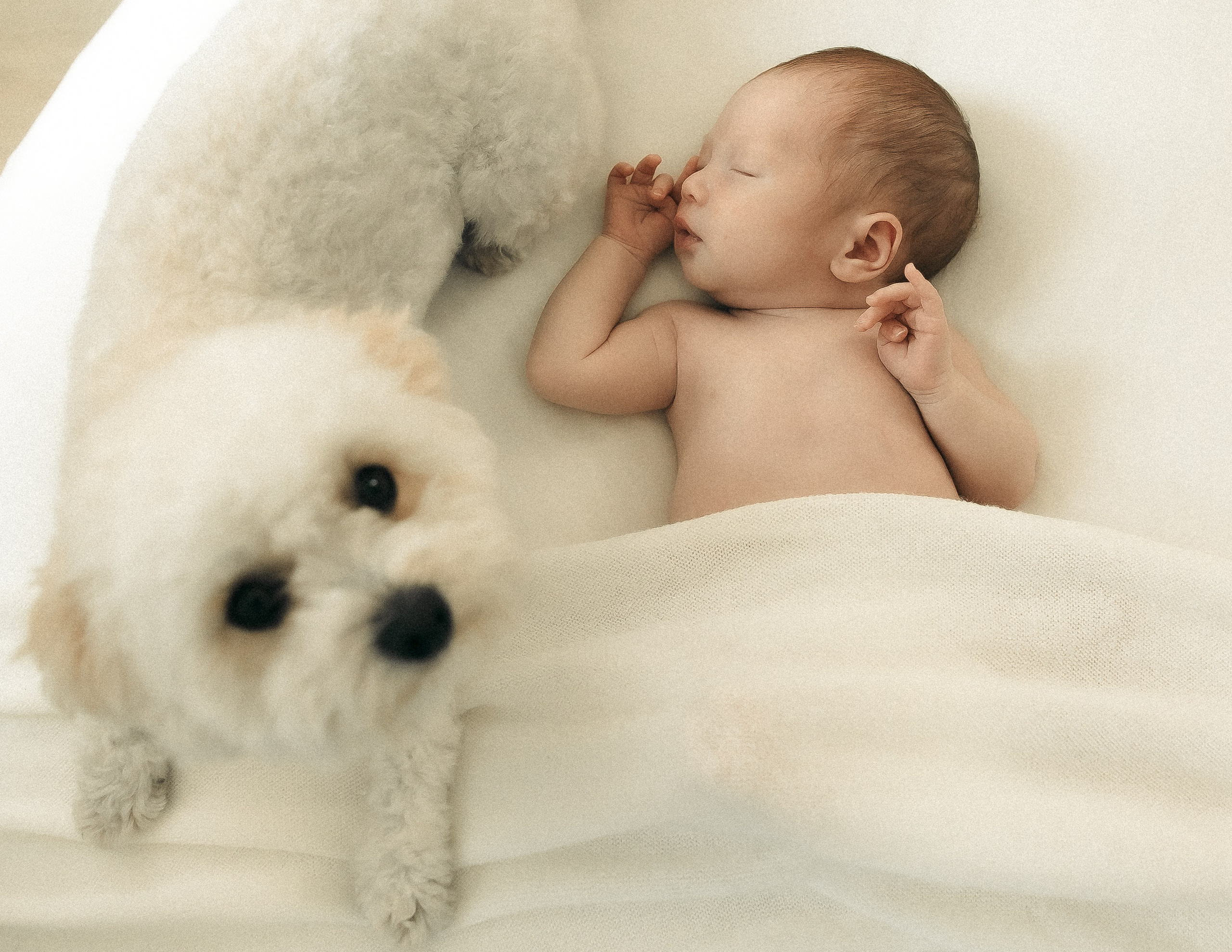 Lifestyle newborn. Los Angeles maternity, boudoir and family photographer