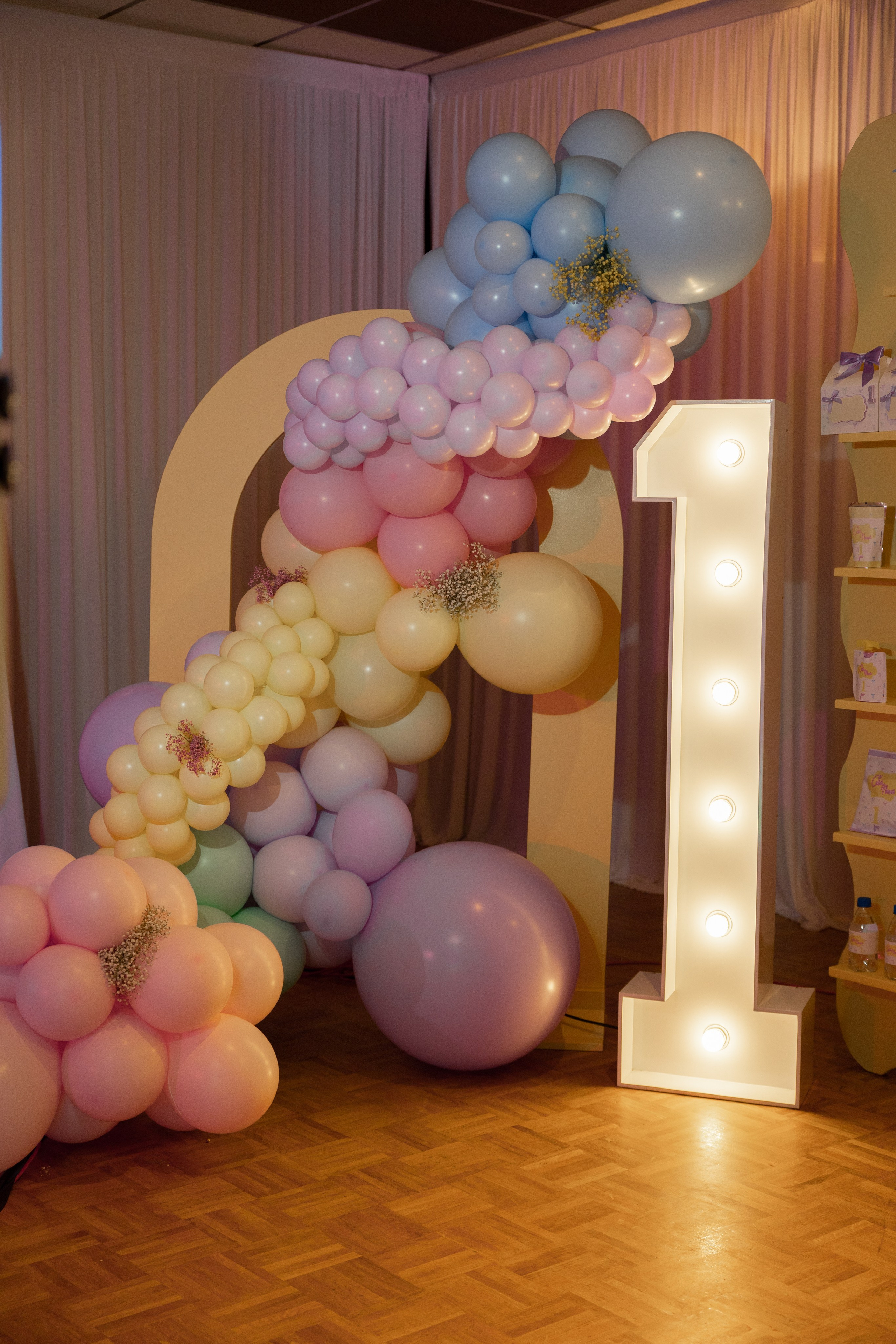 1 st Birthday. Portrait and Family Photographer in Netherlands