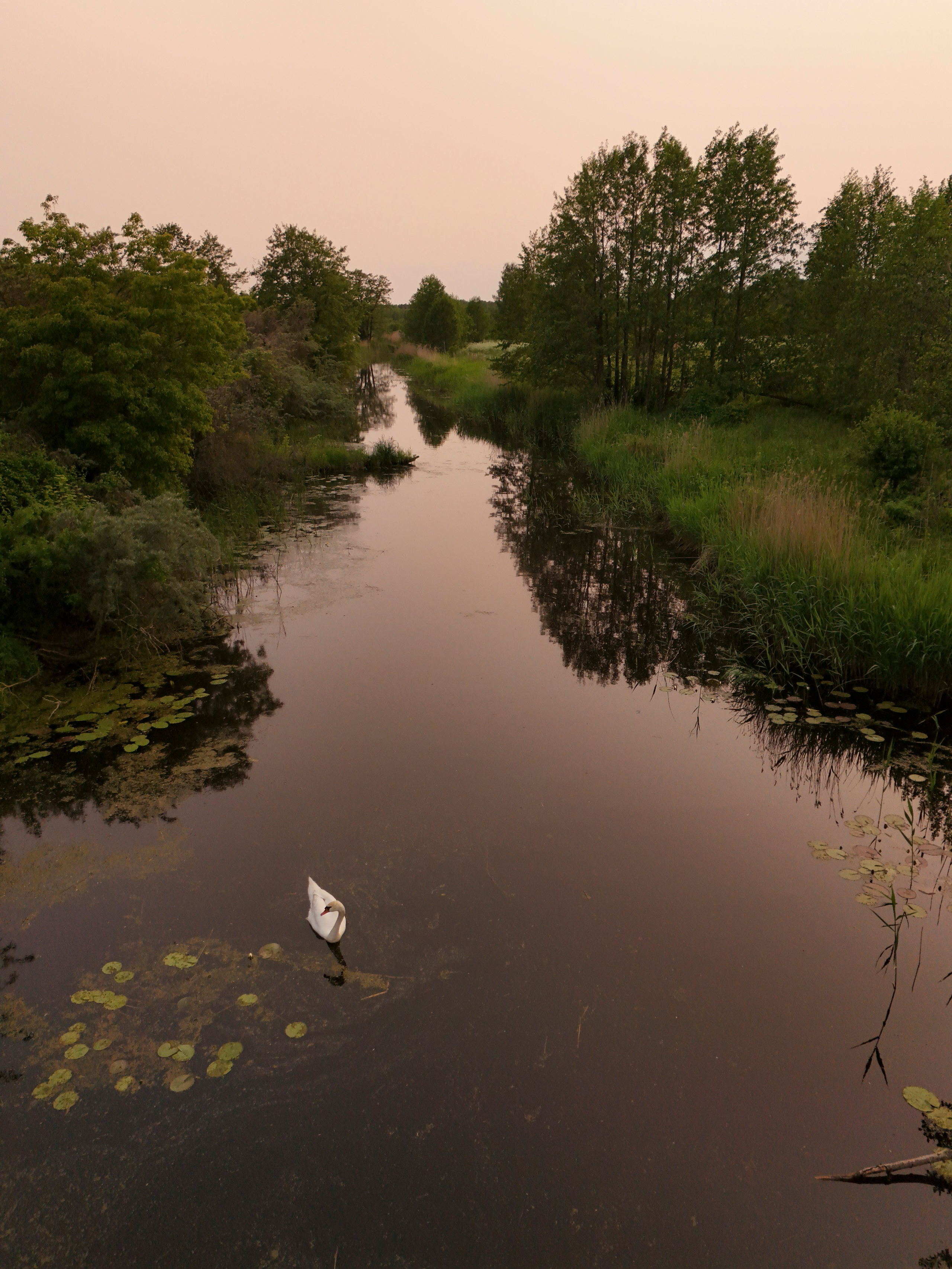 Foto & Video saturs apmaiņā pret atpūtu. Video shooting and creating with phone, iPhone Video School