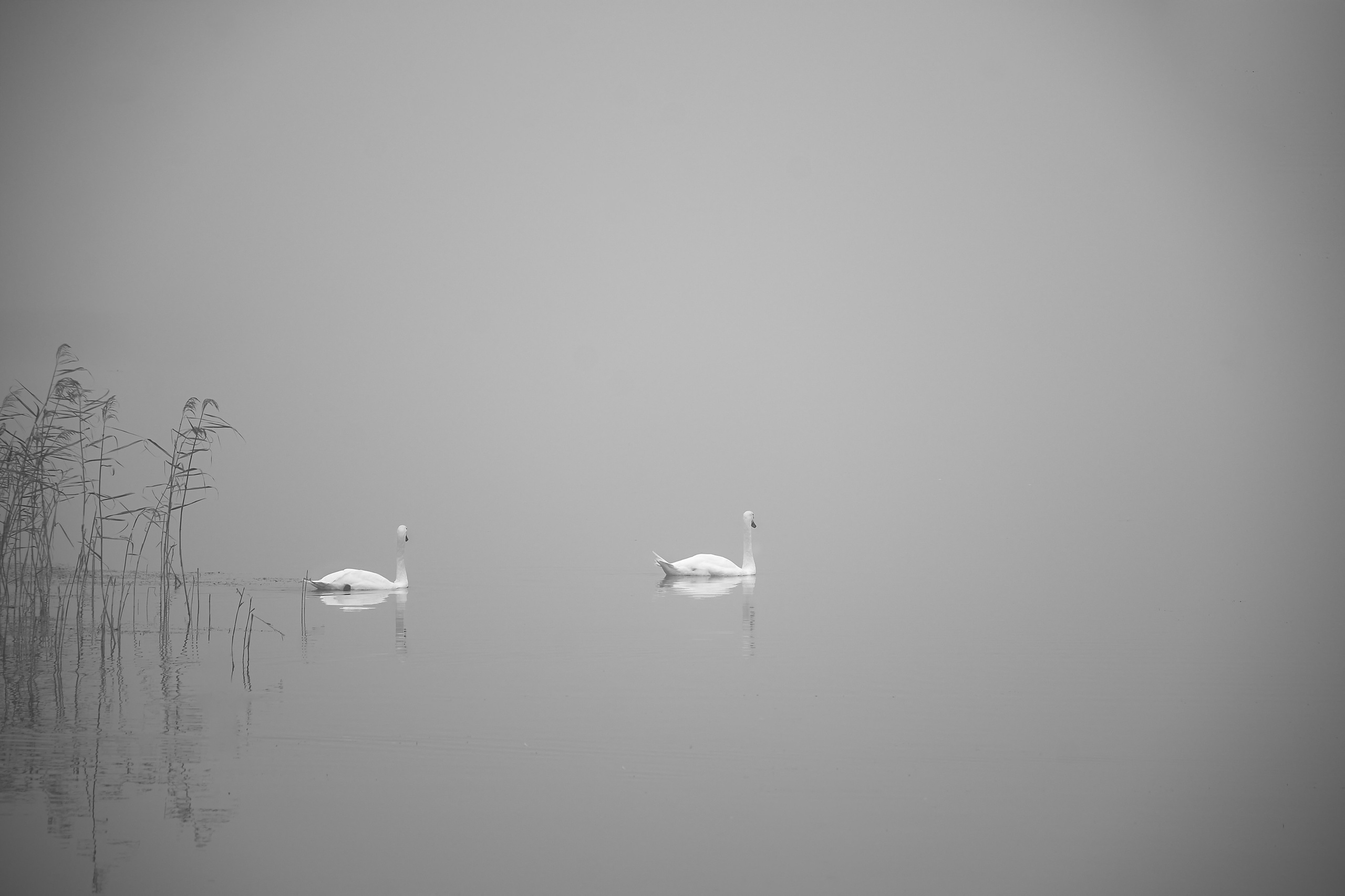 B/W STORIES. Art photographer in Tallinn Aleksandr Sokolnikov