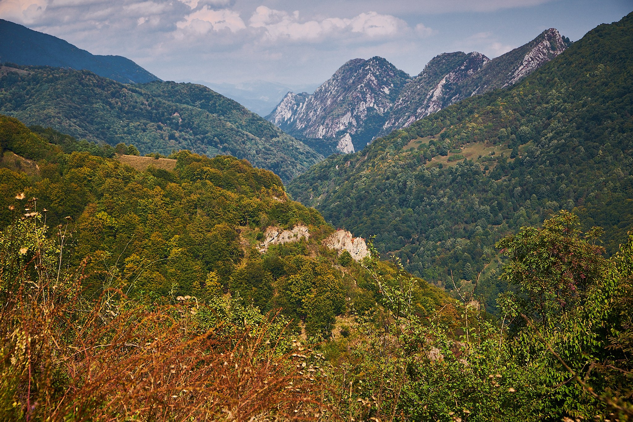 Ineleț, jud. Caraș-Severin. Pagina principală