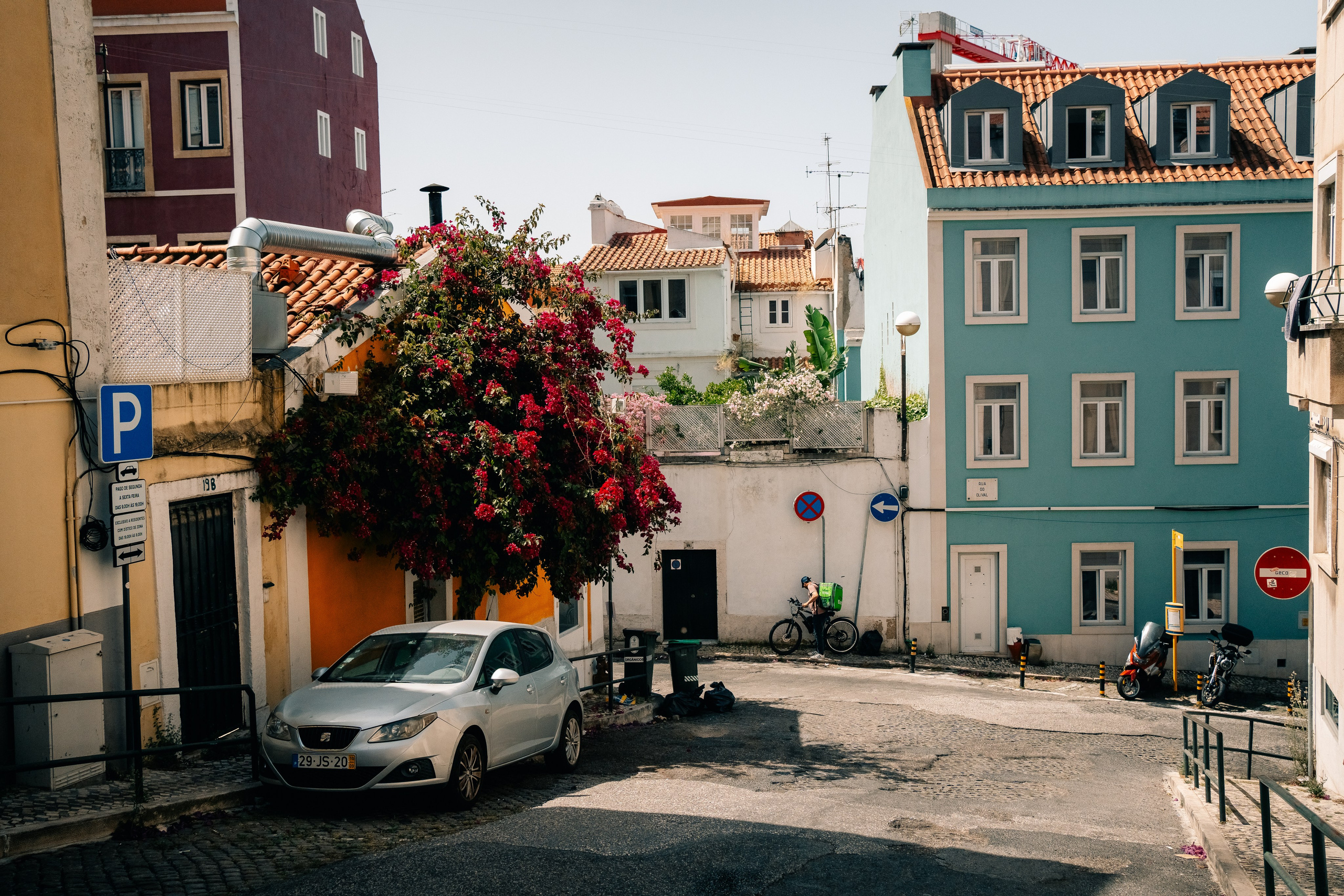 Работы Марии Шер. Sher.SCHOOL