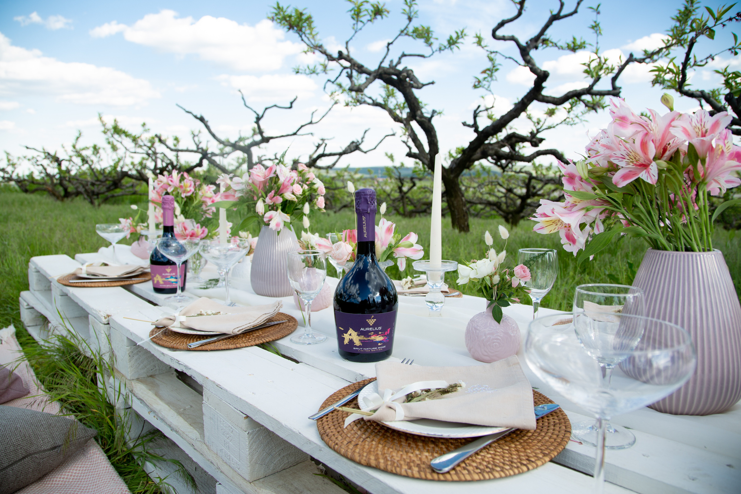 Фотопроект «Деревенский Шик». Фотограф в Кишинёве Ольга Церульник