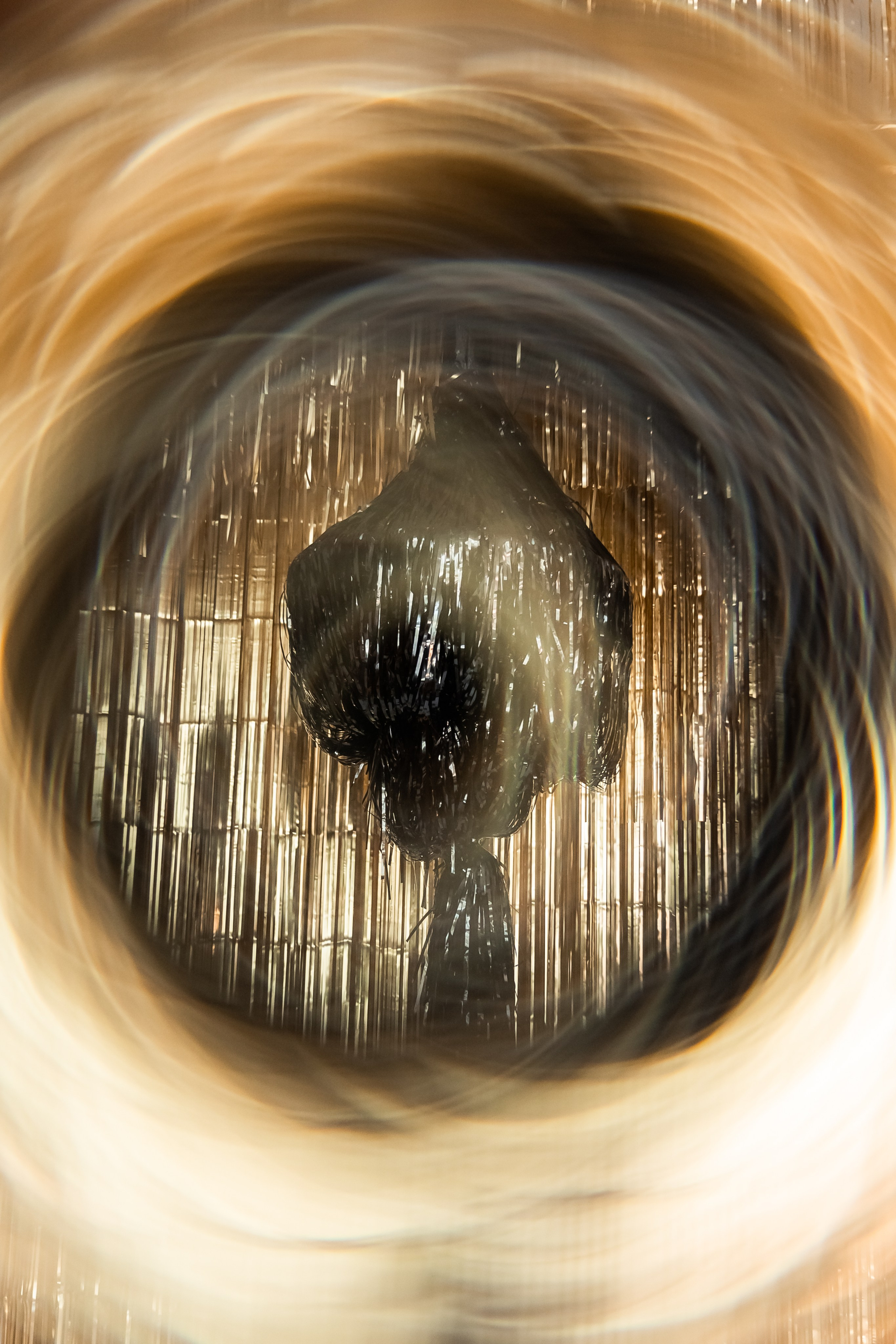 Коледа 2023-24. Фотограф Ирина Йотова