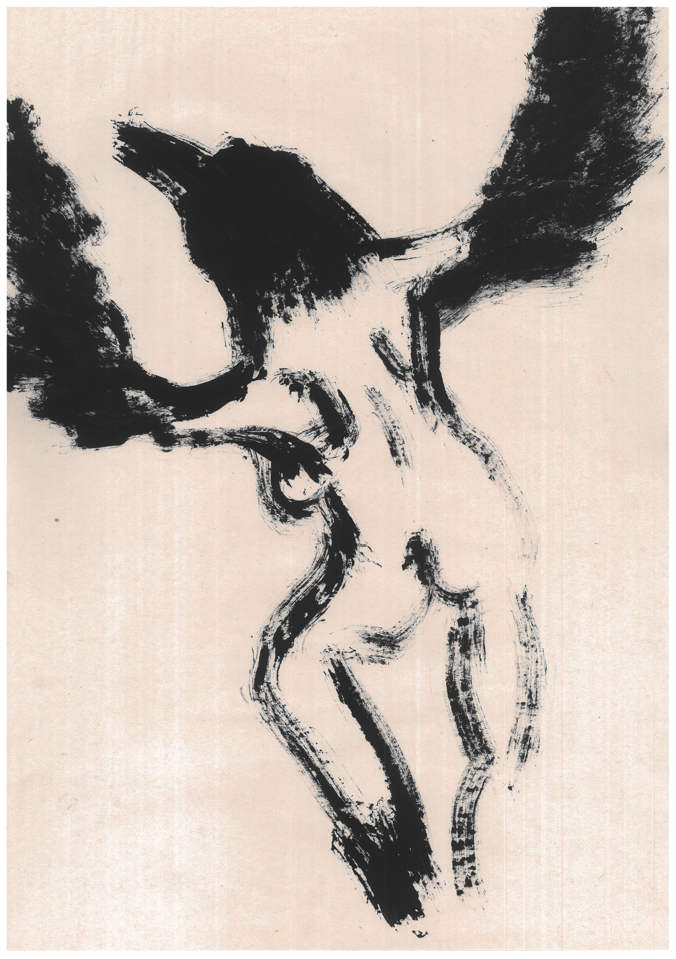 Dancing bird 2022. Haim Sokol’s artists website