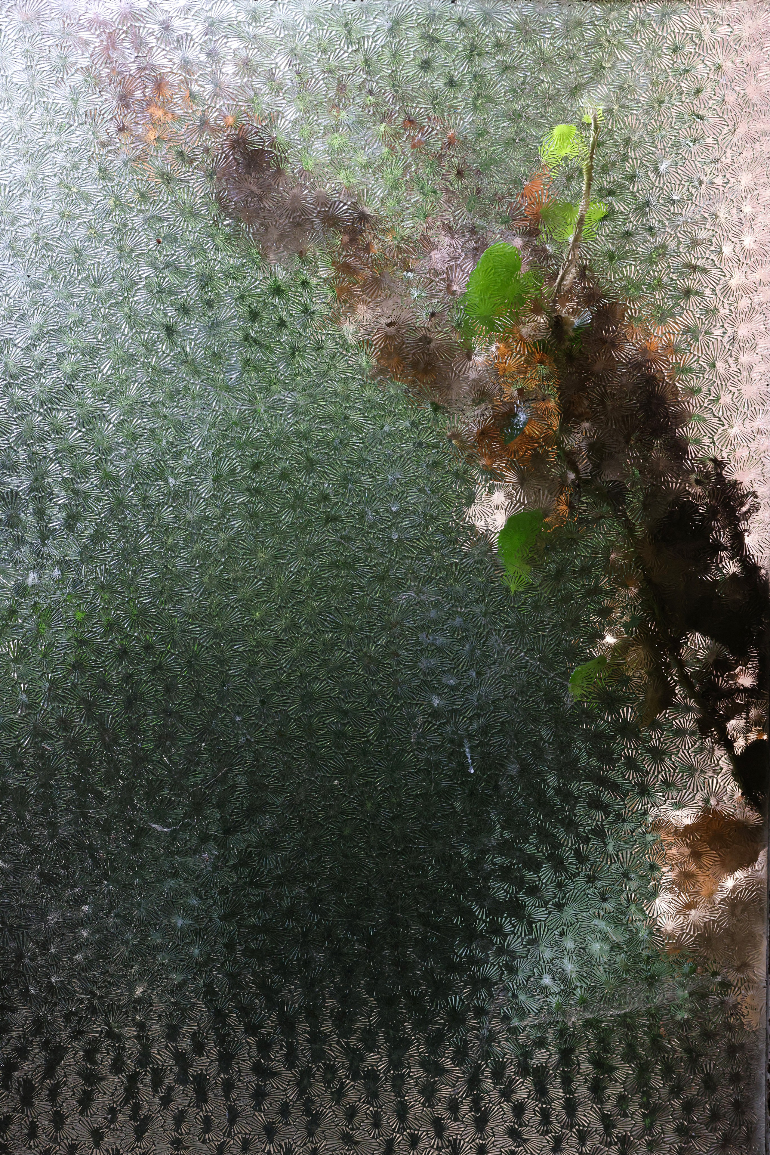 MAISON AU BOIS DORMANT. Natalia Bogdanovska. Films et photographie corporate en France