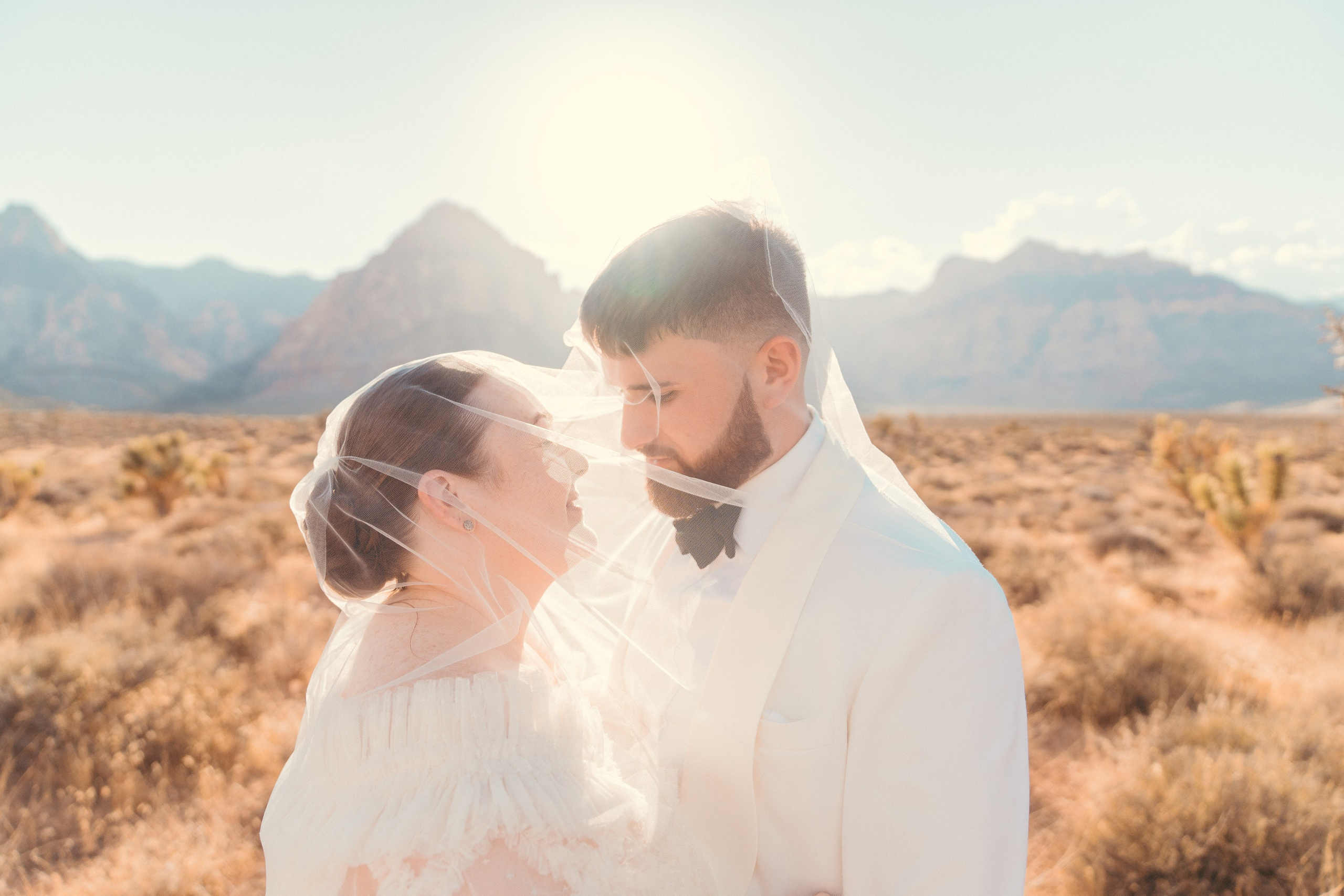 Cassie&Jimmy. Wedding & elopement photographer Viktoriya Kravtsov. Las Vegas