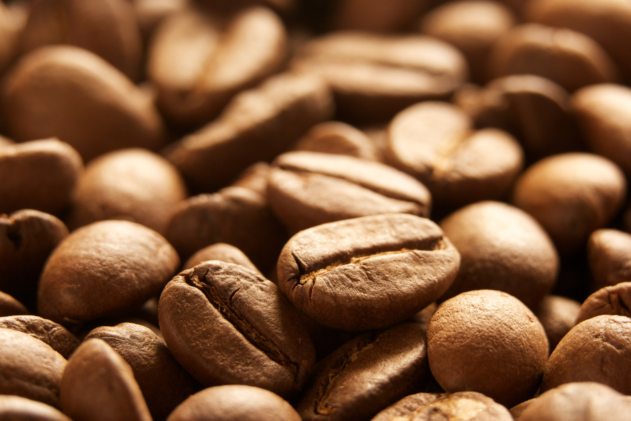 Food and beverage photography - Andrey Dunin