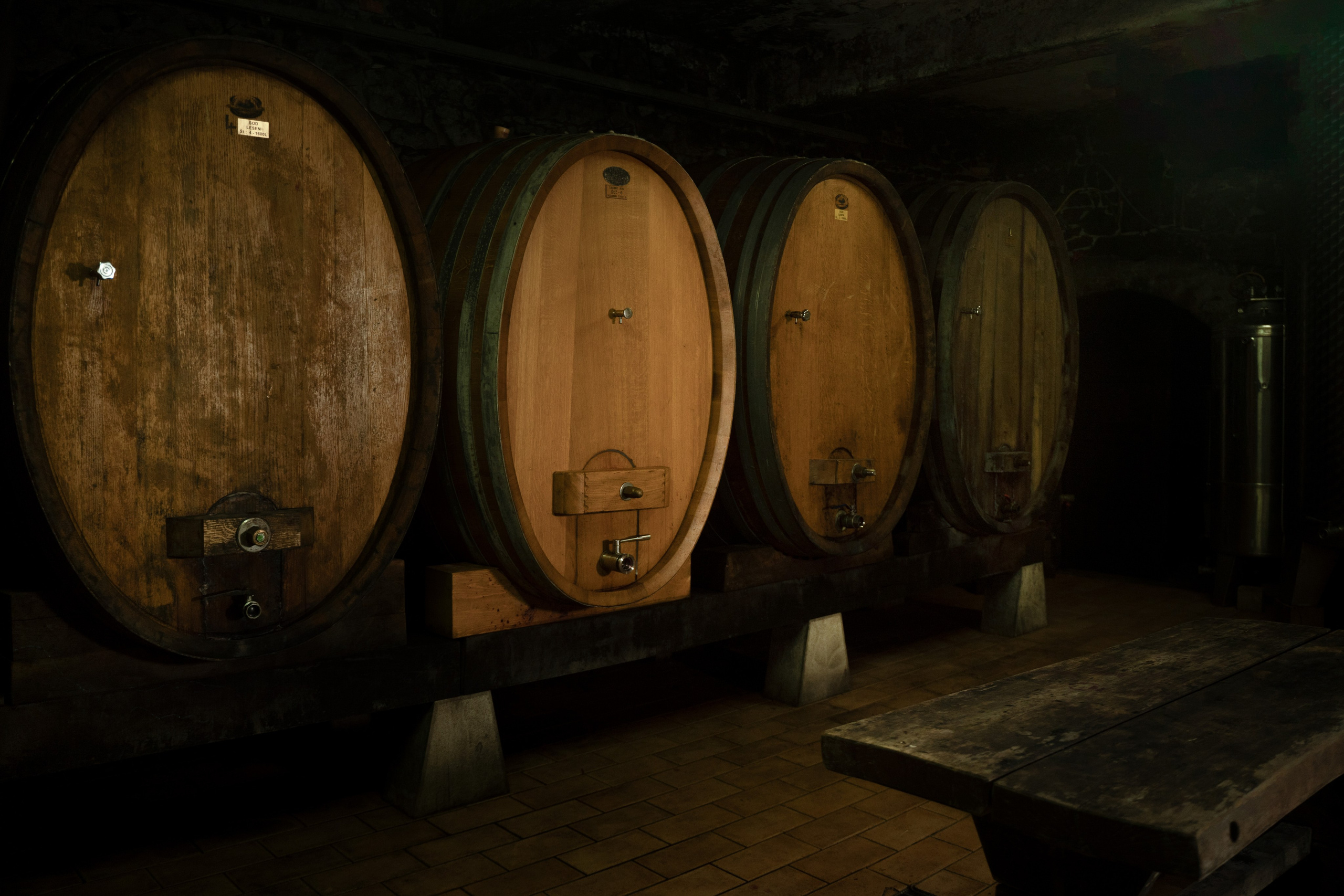 Projekti. Fotografinja in videografinja Mariia Bortiakova iz Slovenije: fotografiranje dogodkov, portretov in snemanje videov po vsej Sloveniji