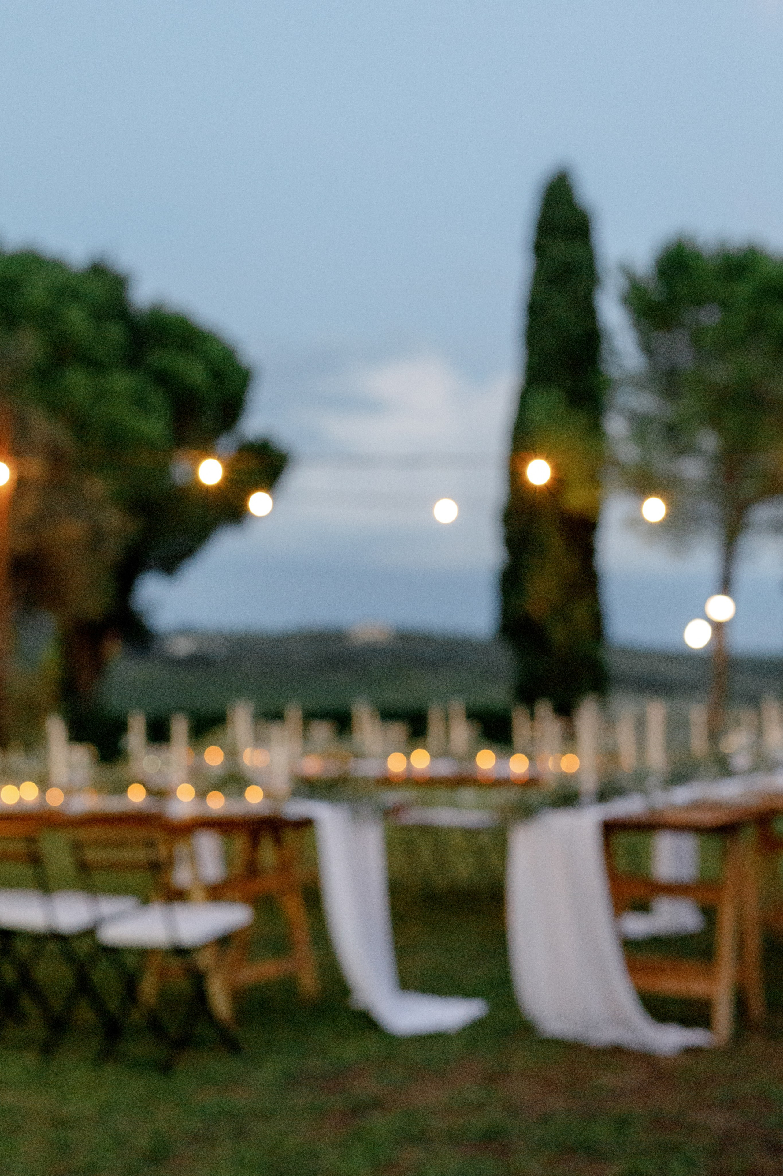 Dom&Ally. Весільний фотограф Вікторія Саврук